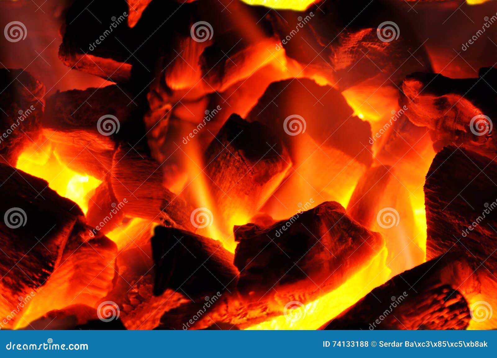 Barbecue charcoal fire stock photo. Image of burning 74133188