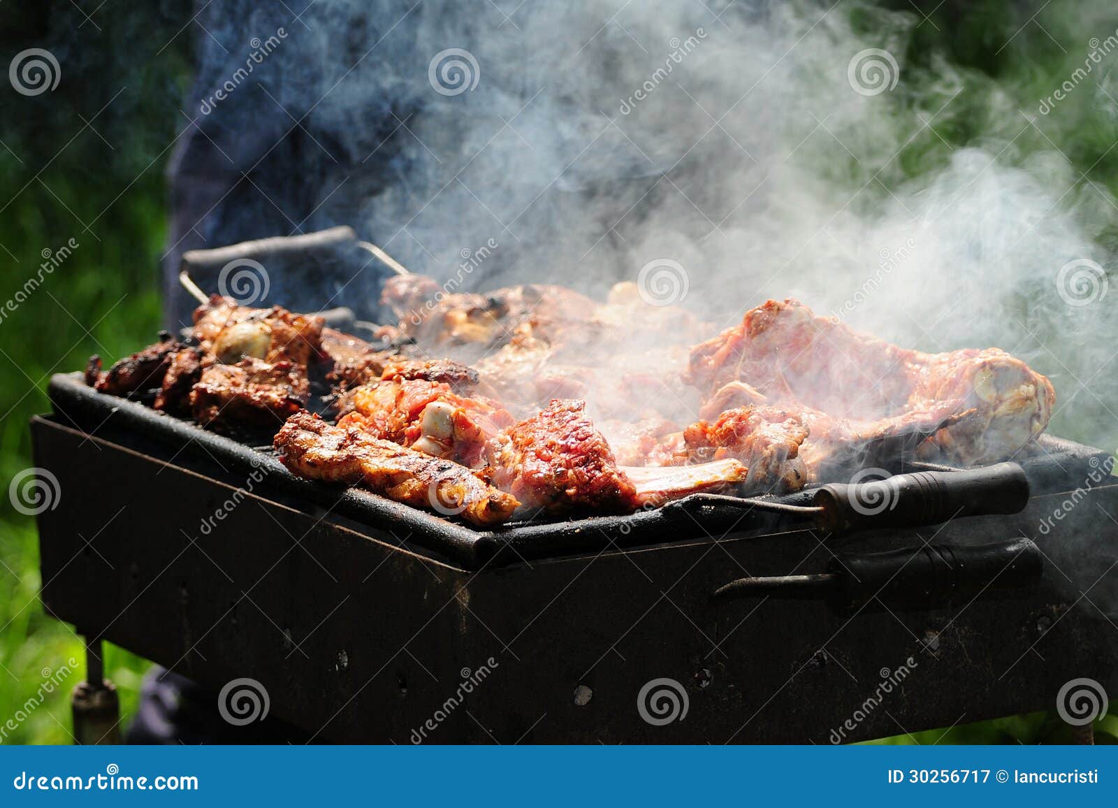 Barbecue Dans Le Forest.shashlik à La Nature Photographie stock libre