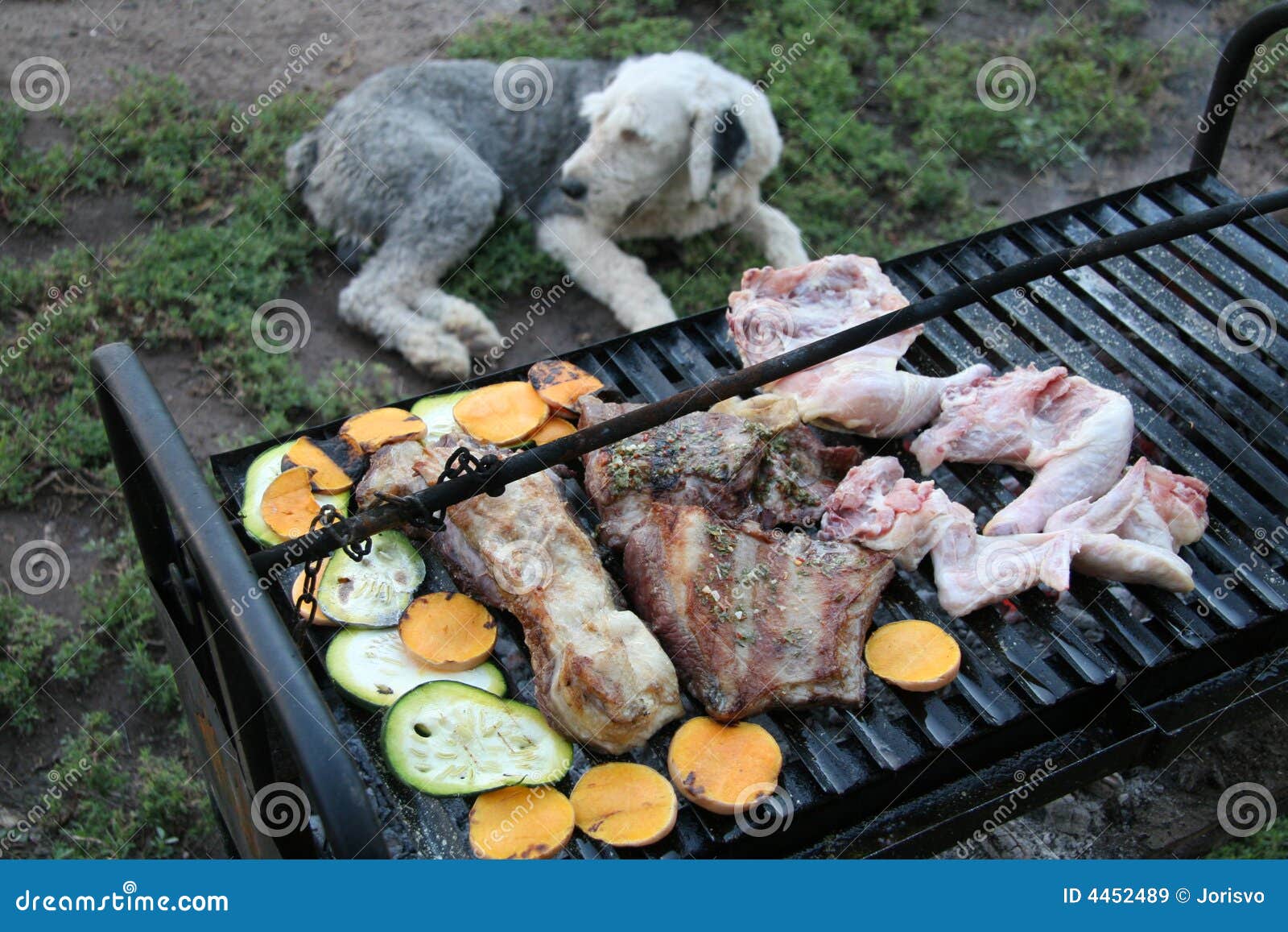 Barbecue e cane immagine stock. Immagine di pollo, piatto 4452489