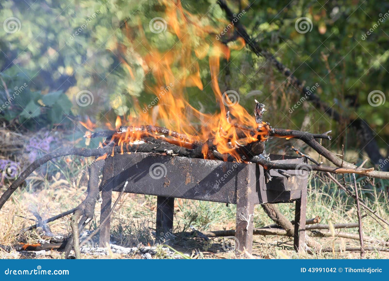 Barbecue stock photo. Image of wood, food, smoke, dangerous 43991042