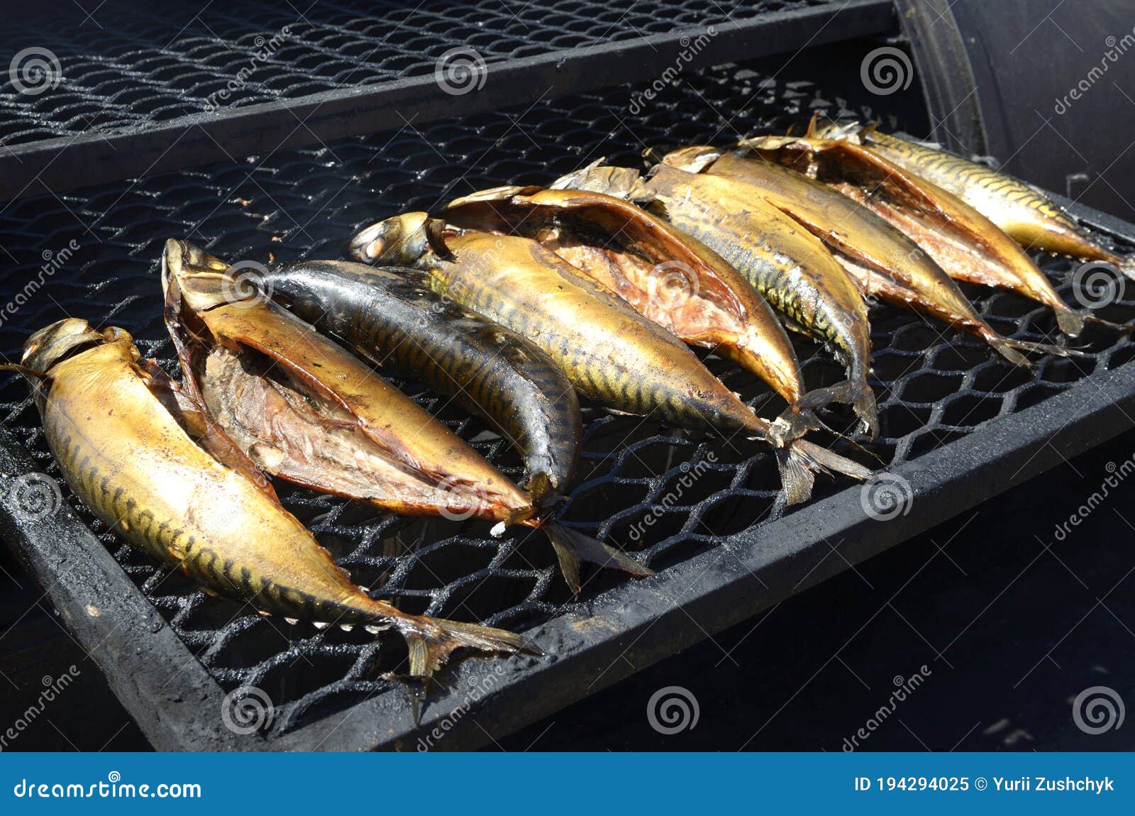 Barbecue Frying on a Charcoal Grill Stock Image Image of city, food
