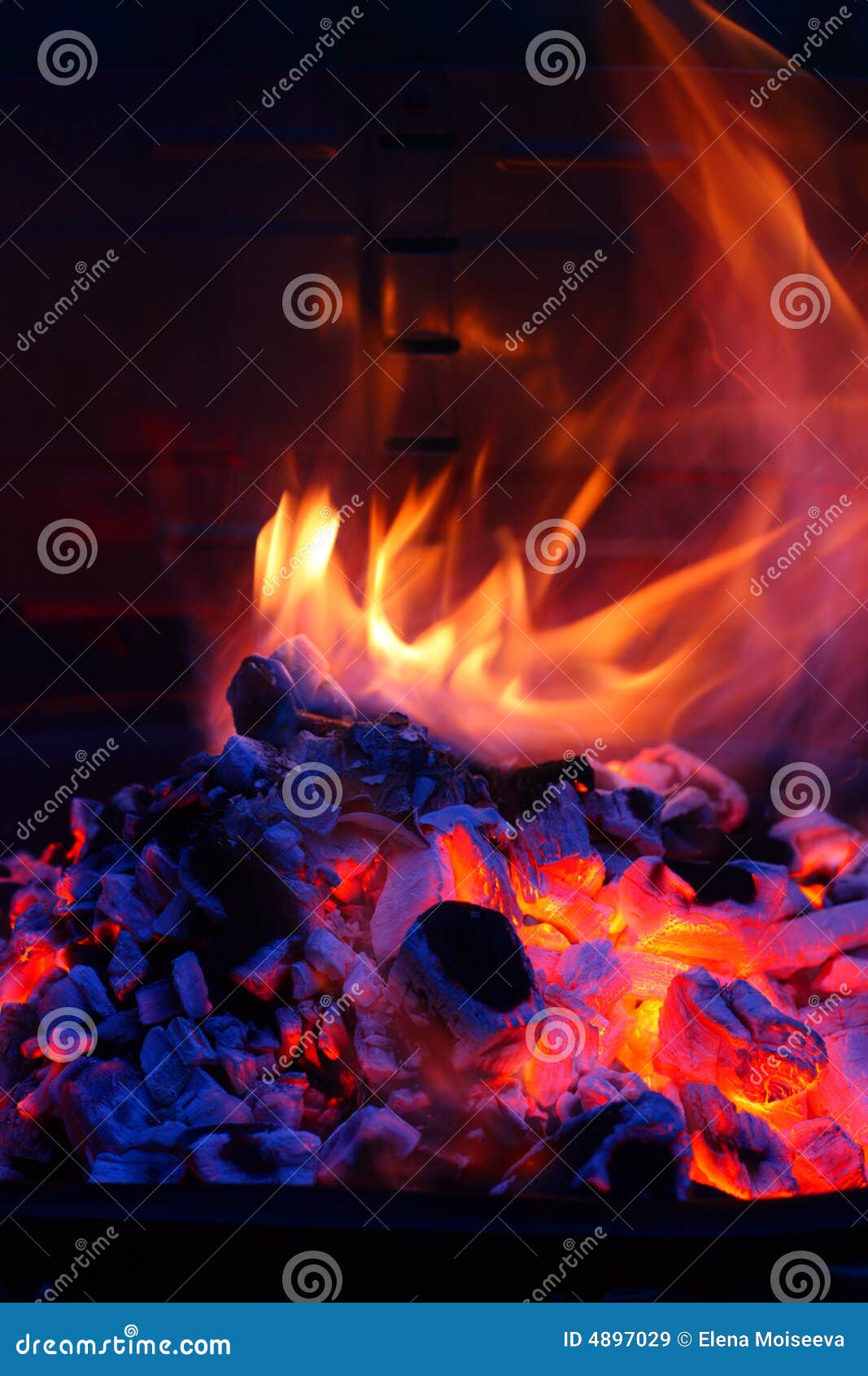 Barbecue Grill Flame BBQ Royalty Free Stock Images Image 4897029
