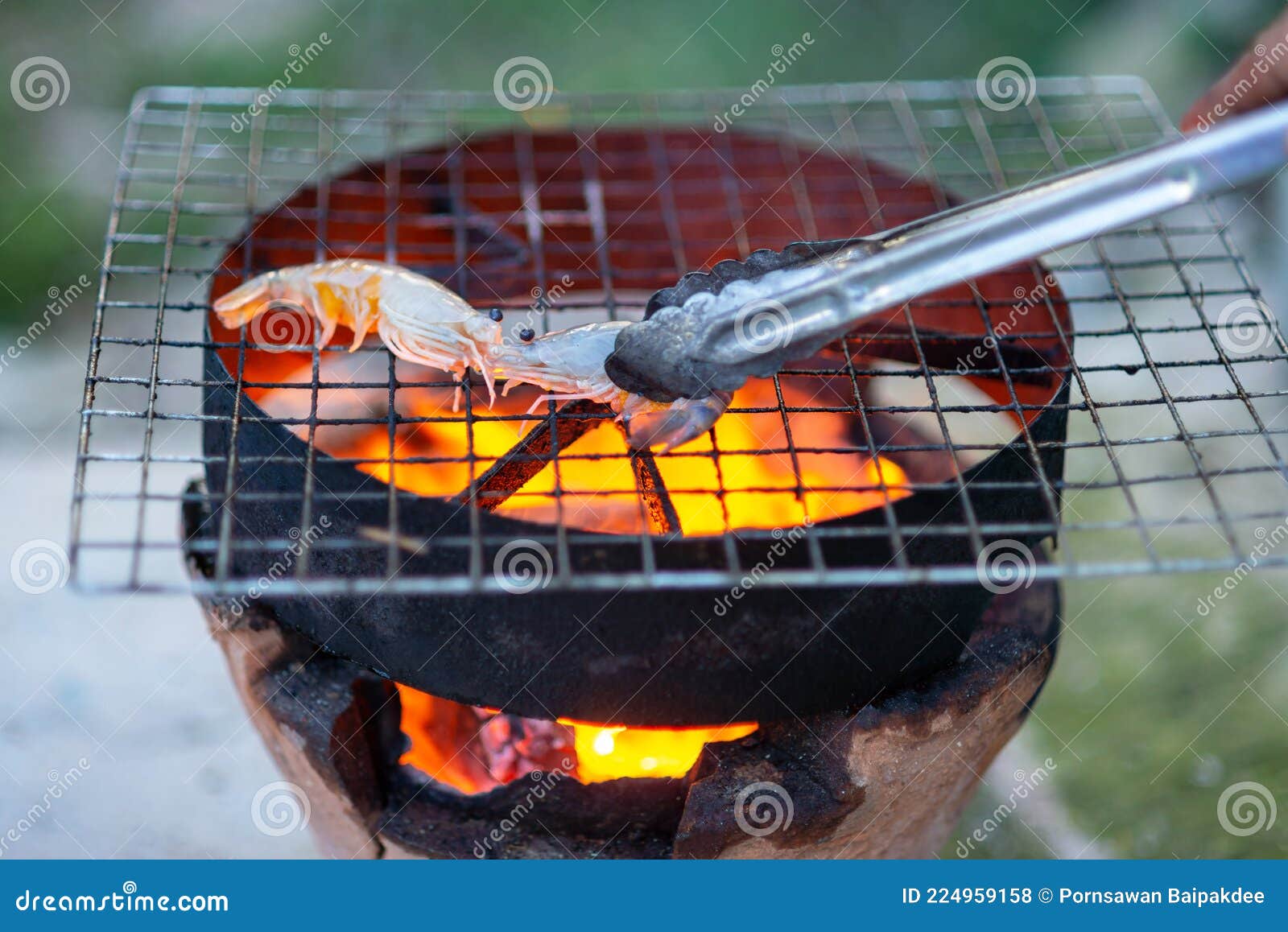 Viande Sur Grille Barbecue Sur Une Cheminée Photo stock - Image du