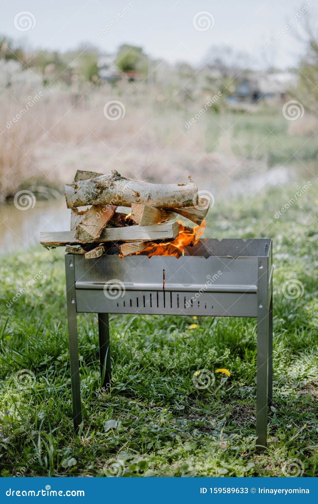 Barbecue Portable En Métal Avec Feu De Bois De Chauffage Et Flammes Rouges  Barbecue Barbecue Extérieur Pour Pique-niquer Feu De F Image stock - Image  du grillé, lueur: 159589633