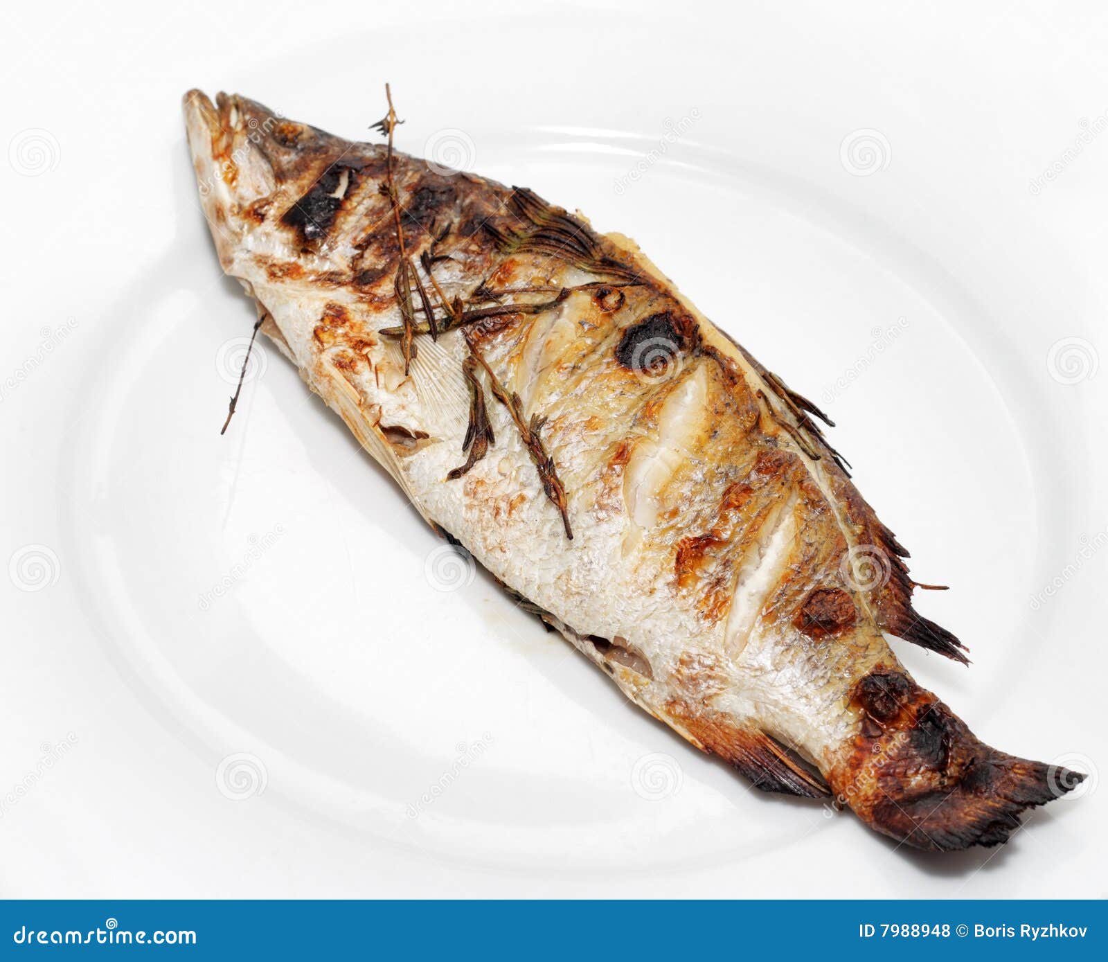 Barbecue of Sea Bass stock photo. Image of grill, seafood 7988948