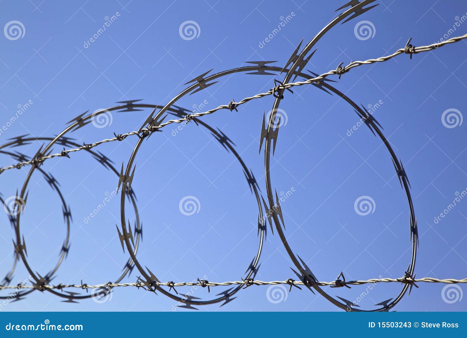 Barbed Concertina Wire on Fence, Security Device Stock Image Image of