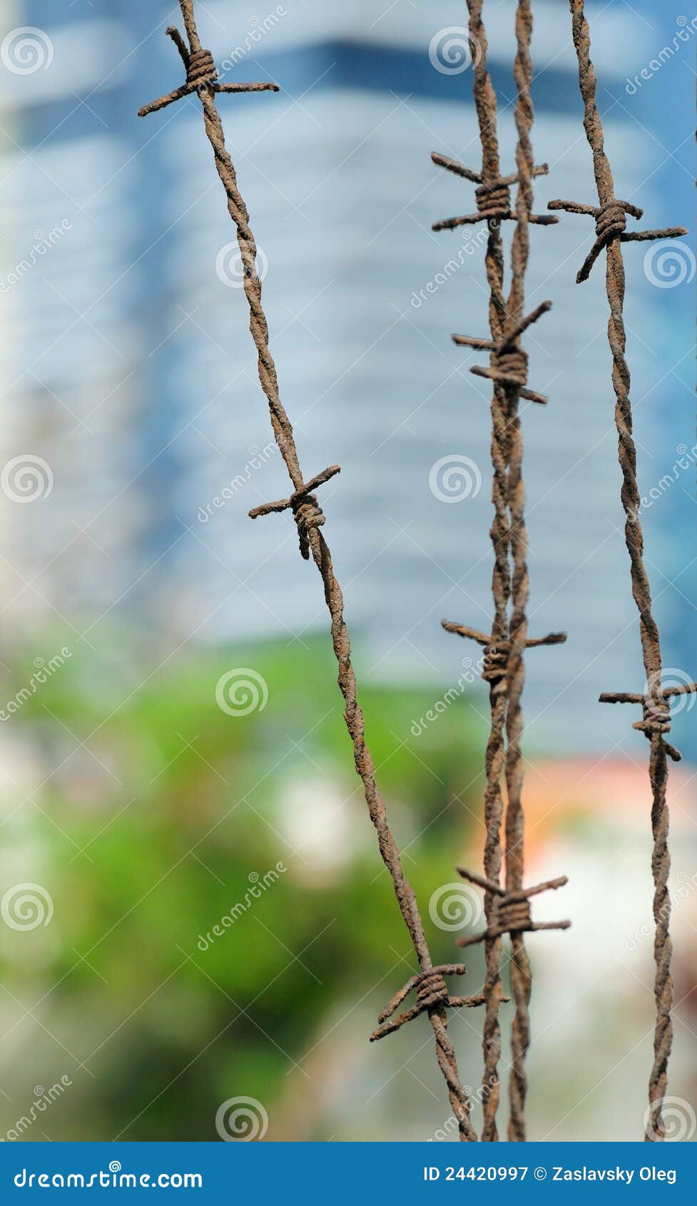 Barbed wire. stock image. Image of bokeh, line, wire - 24420997