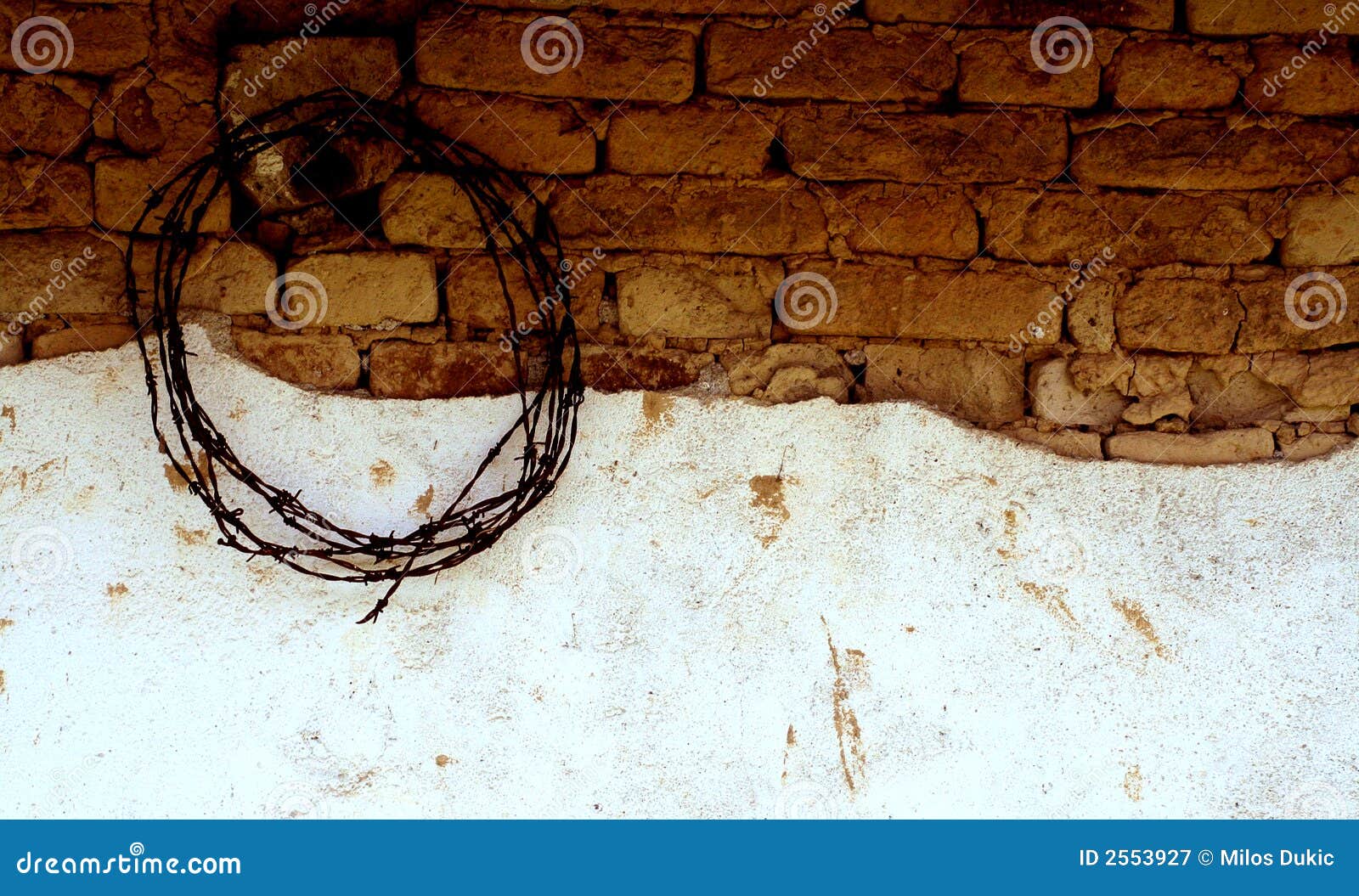 Barbed wire stock image. Image of isolated, screaming - 2553927