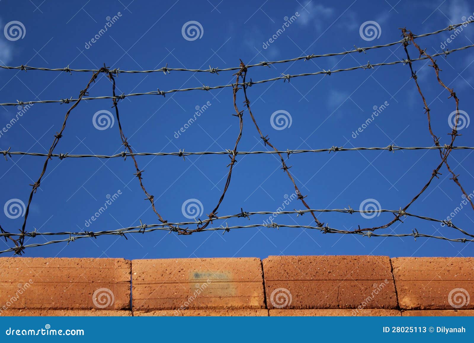 Barbed wire stock image. Image of cutting, entering, army - 28025113