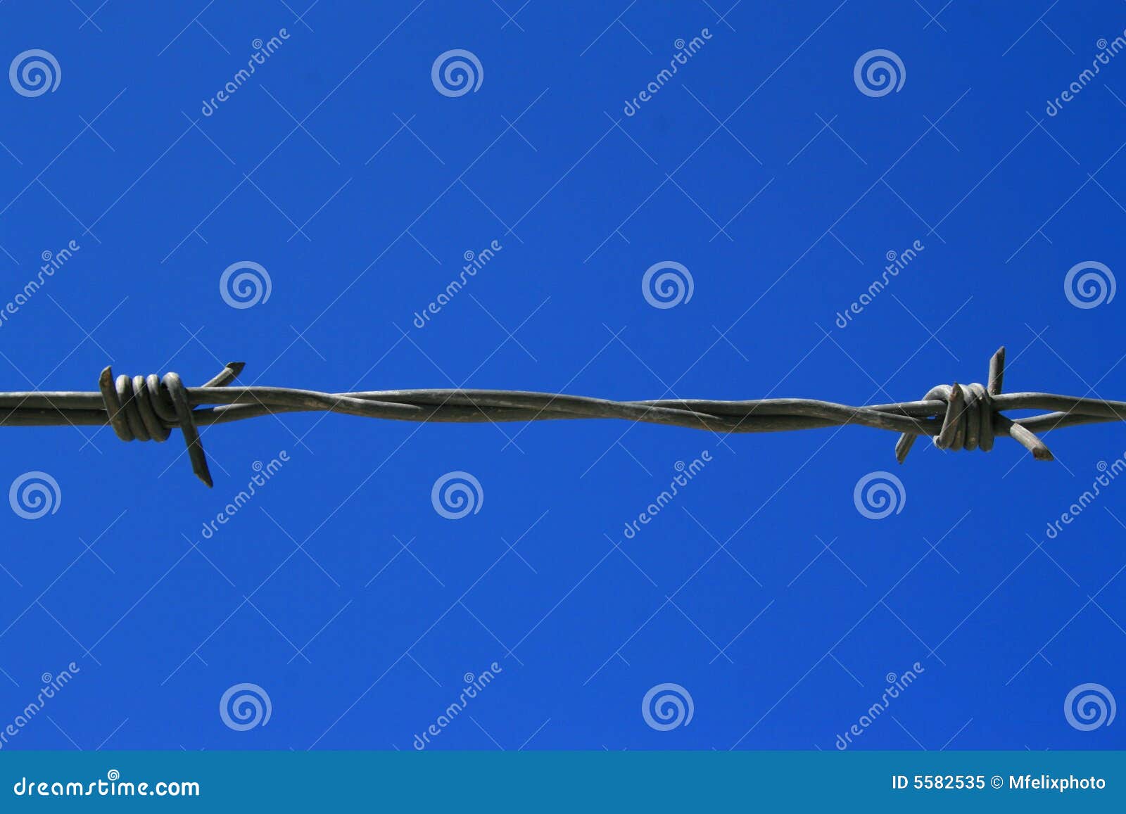 Barbed Wire stock image. Image of wire, hurt, close, security 5582535
