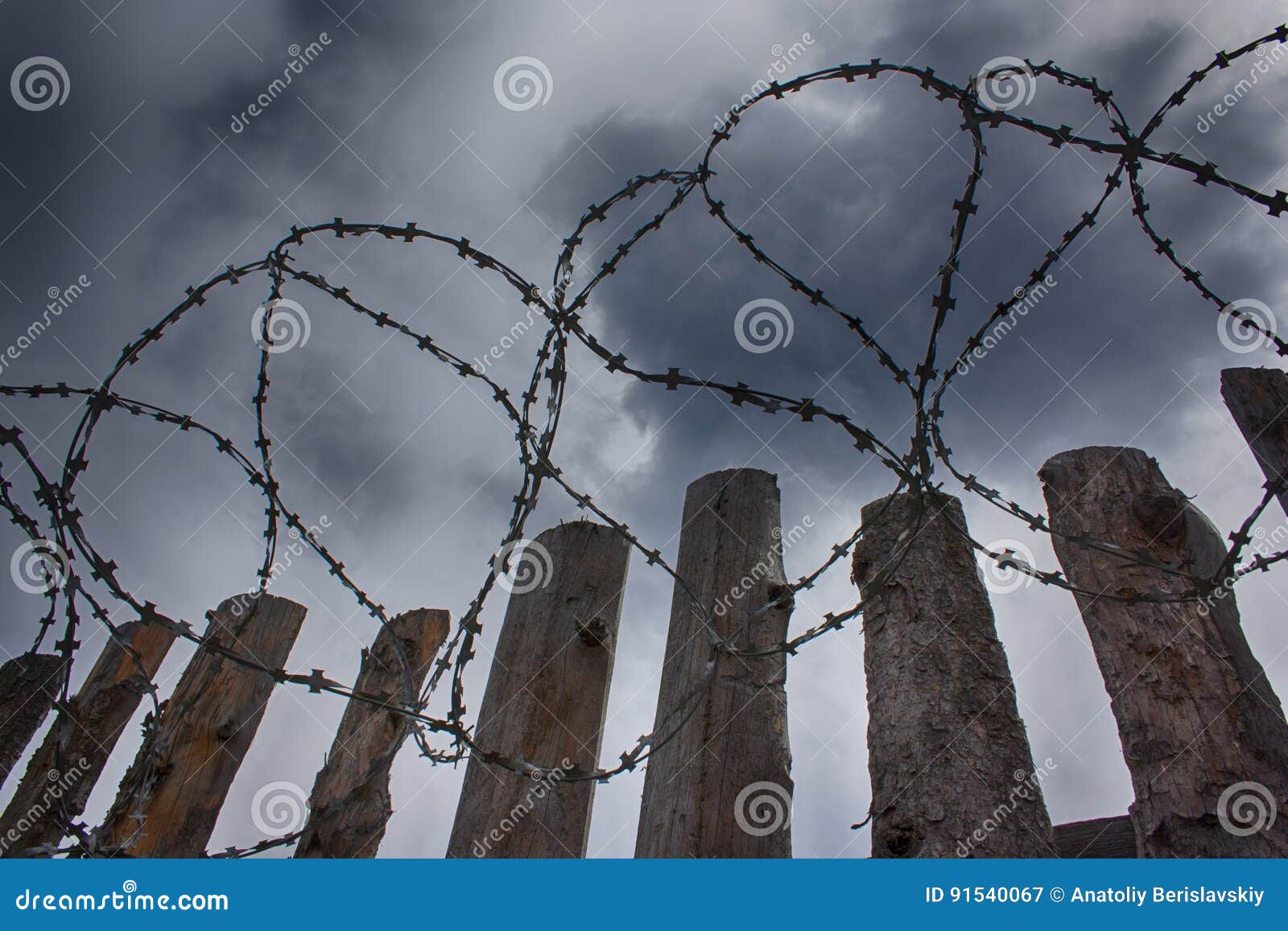 Barbed Wire Scene Images - Download 1,176 Royalty Free Photos - Page 3