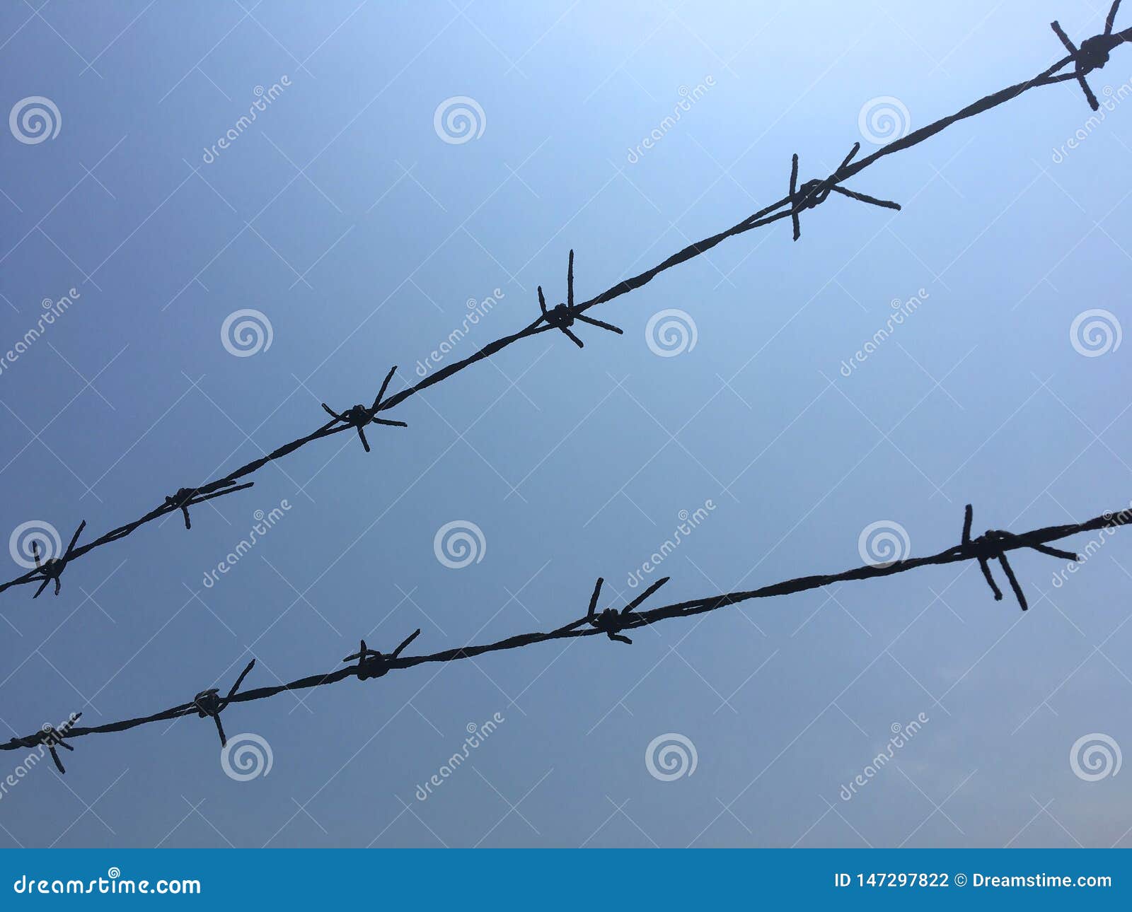 barbed wire barb wire bobbed wire bob wire steel fencing wire sharp edges