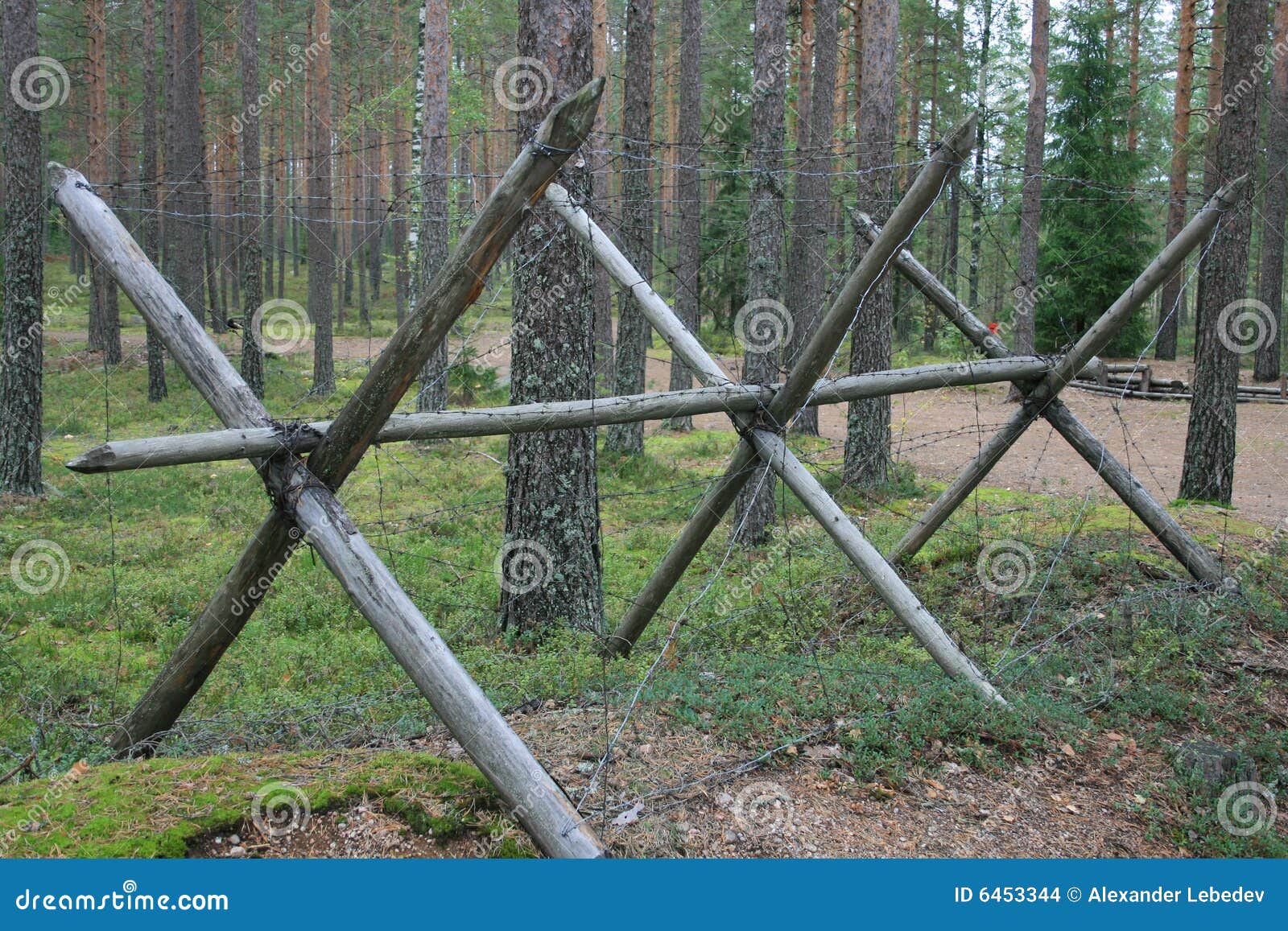 Barbed wire barrier stock photo. Image of outdoor, moss 6453344
