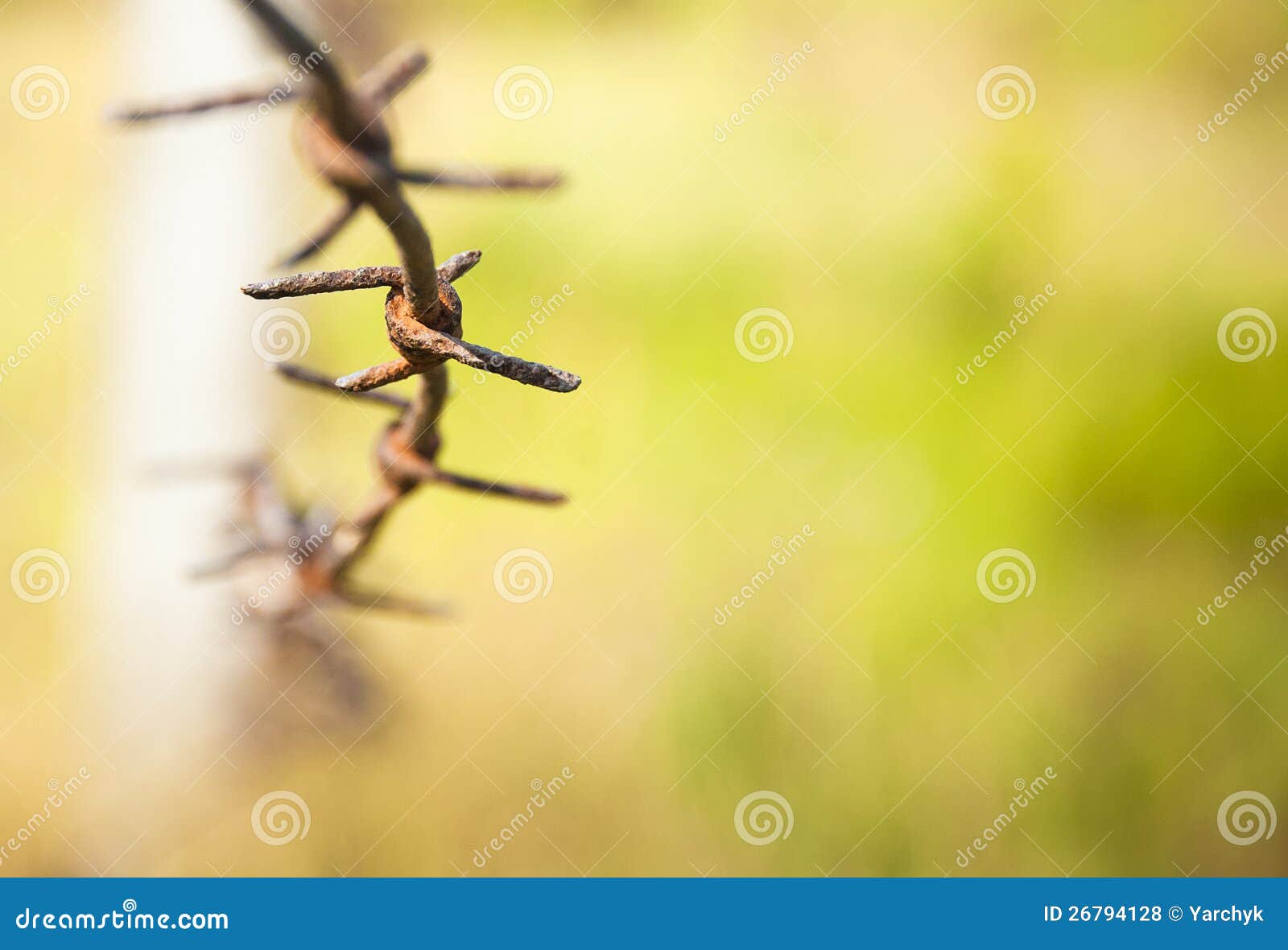 Barbed wire close up stock photo. Image of spike, color 26794128