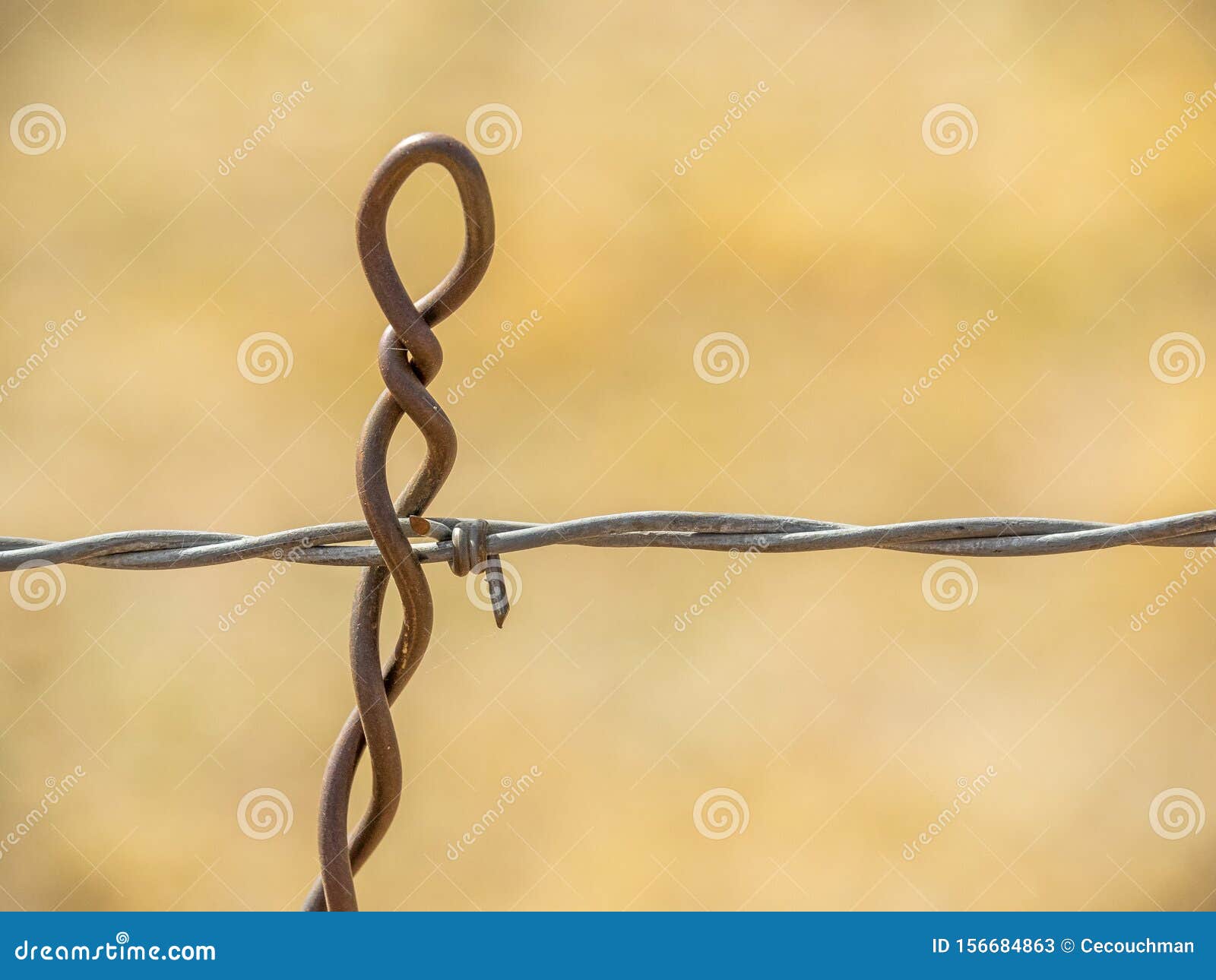 barbed wire detail