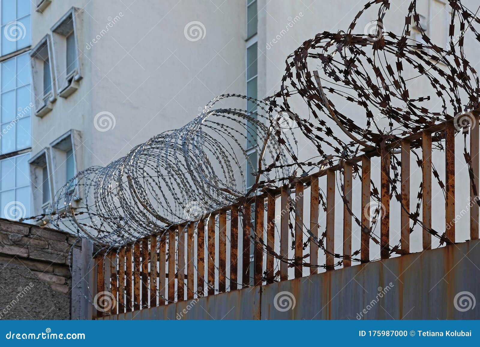 barbed wire egoza spiral on the fence.