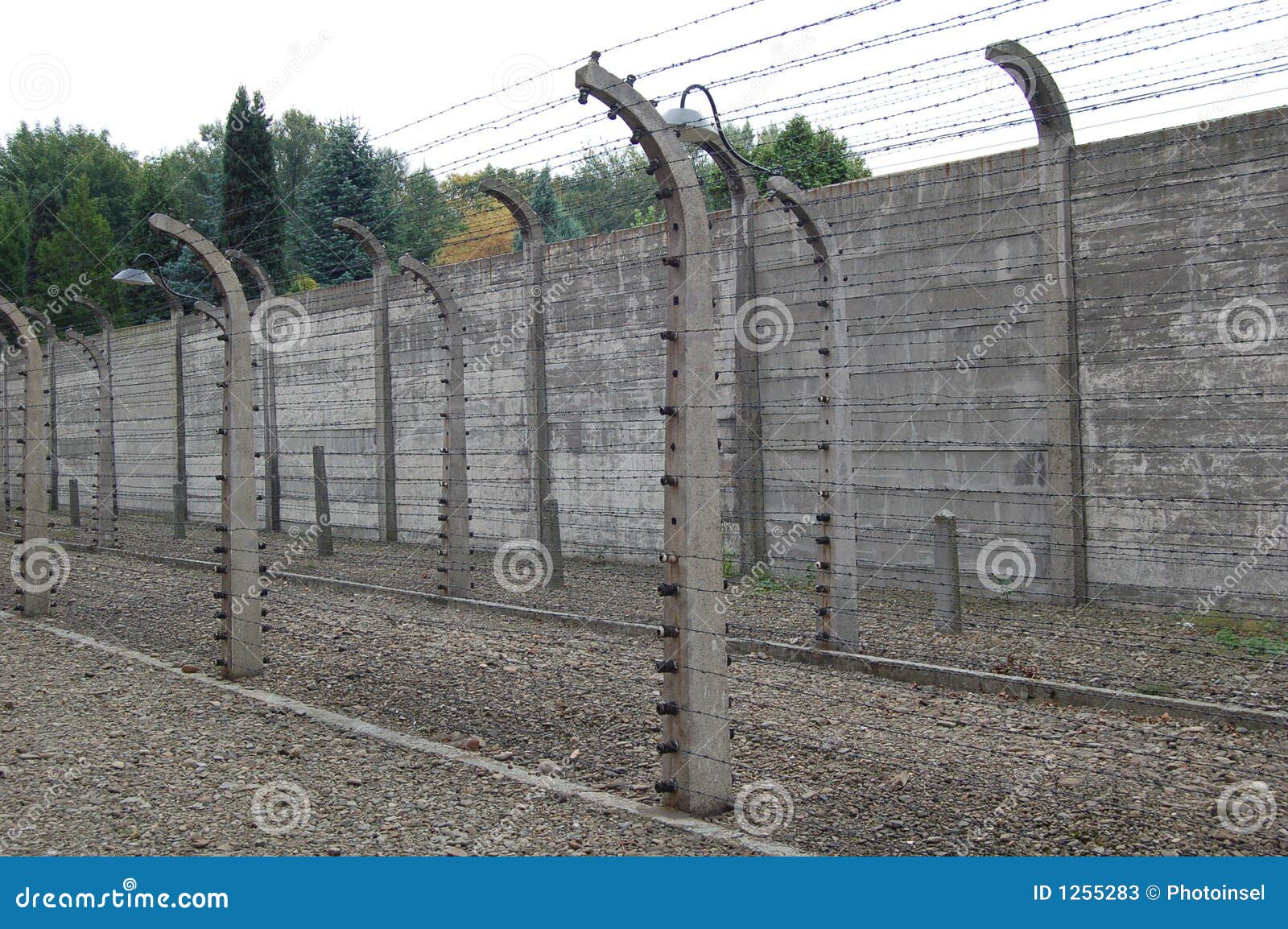 1,993 Barbed Wire Electric Fence Stock Photos - Free & Royalty-Free Stock  Photos from Dreamstime