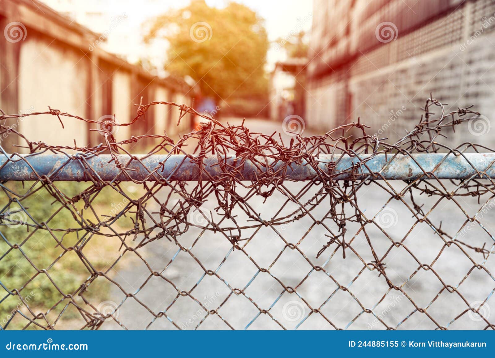 barbed wire entrance fences prevent intruders from entering restricted areas