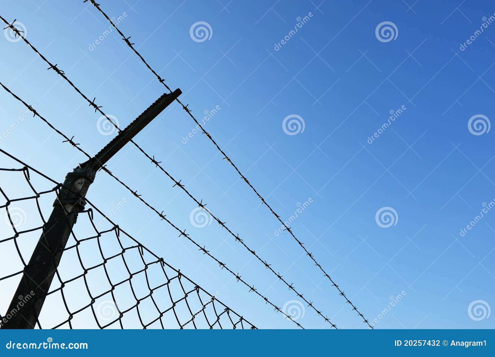 Barbed wire fence stock photo. Image of border, steel - 20257432
