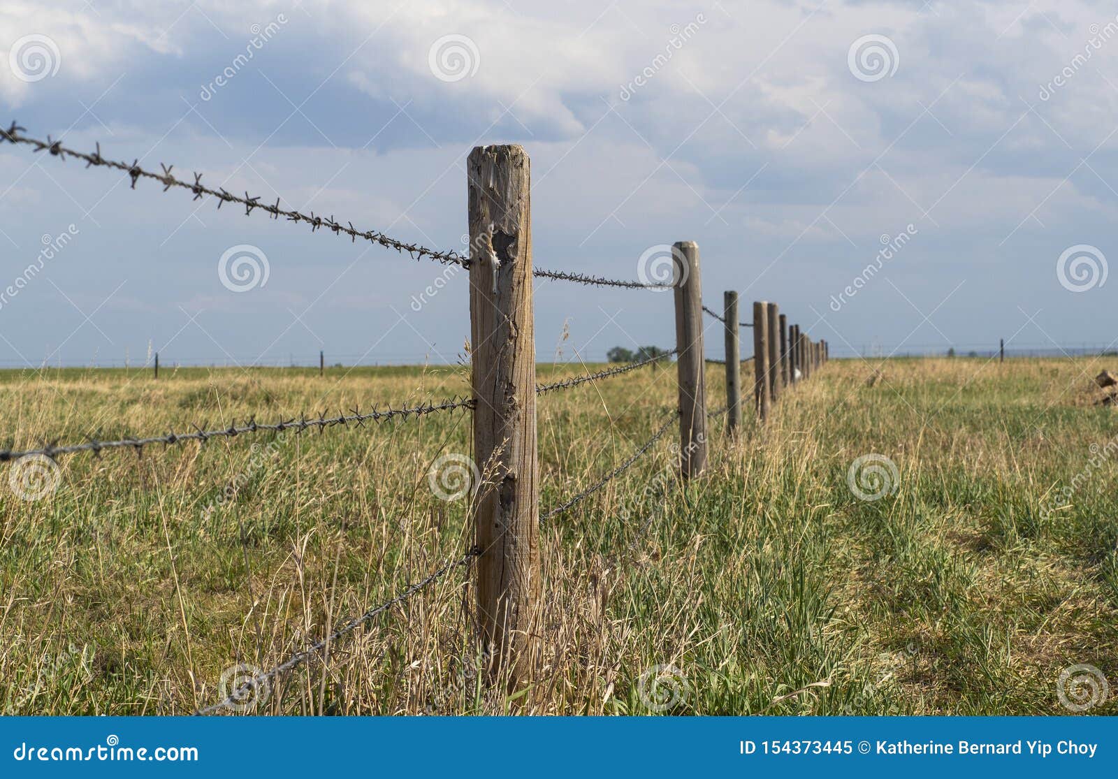 barbed wire fence with blue cloudy skies bordering farm property in the prairies wild grass of alberta