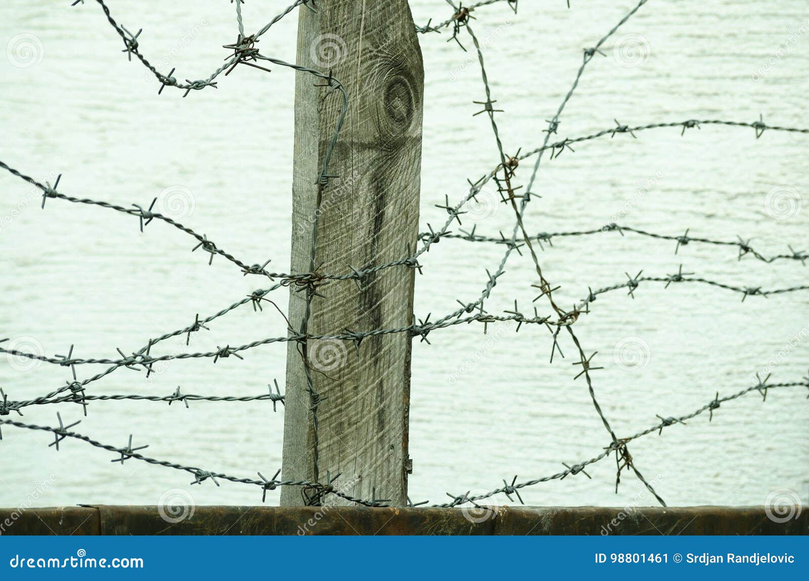 barbed wire fence close up in the war zone to protect prisoners from escaping camp