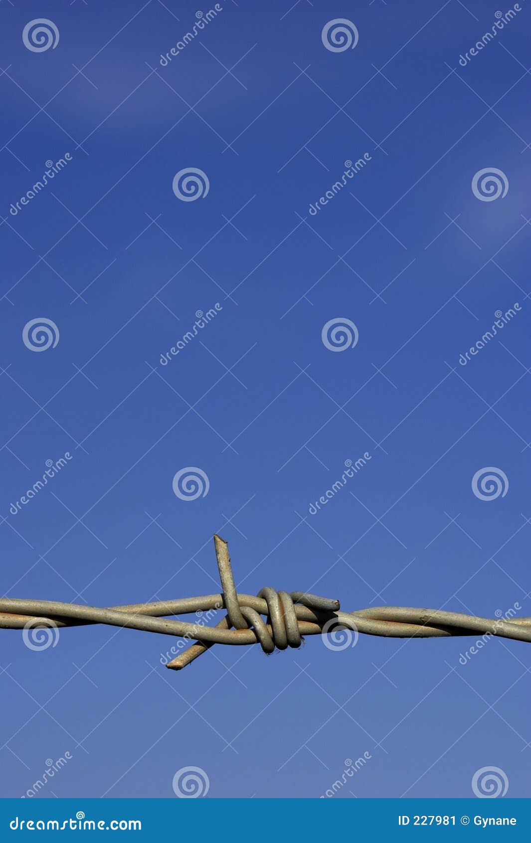 Barbed wire fence detail stock image. Image of marker, barb - 227981
