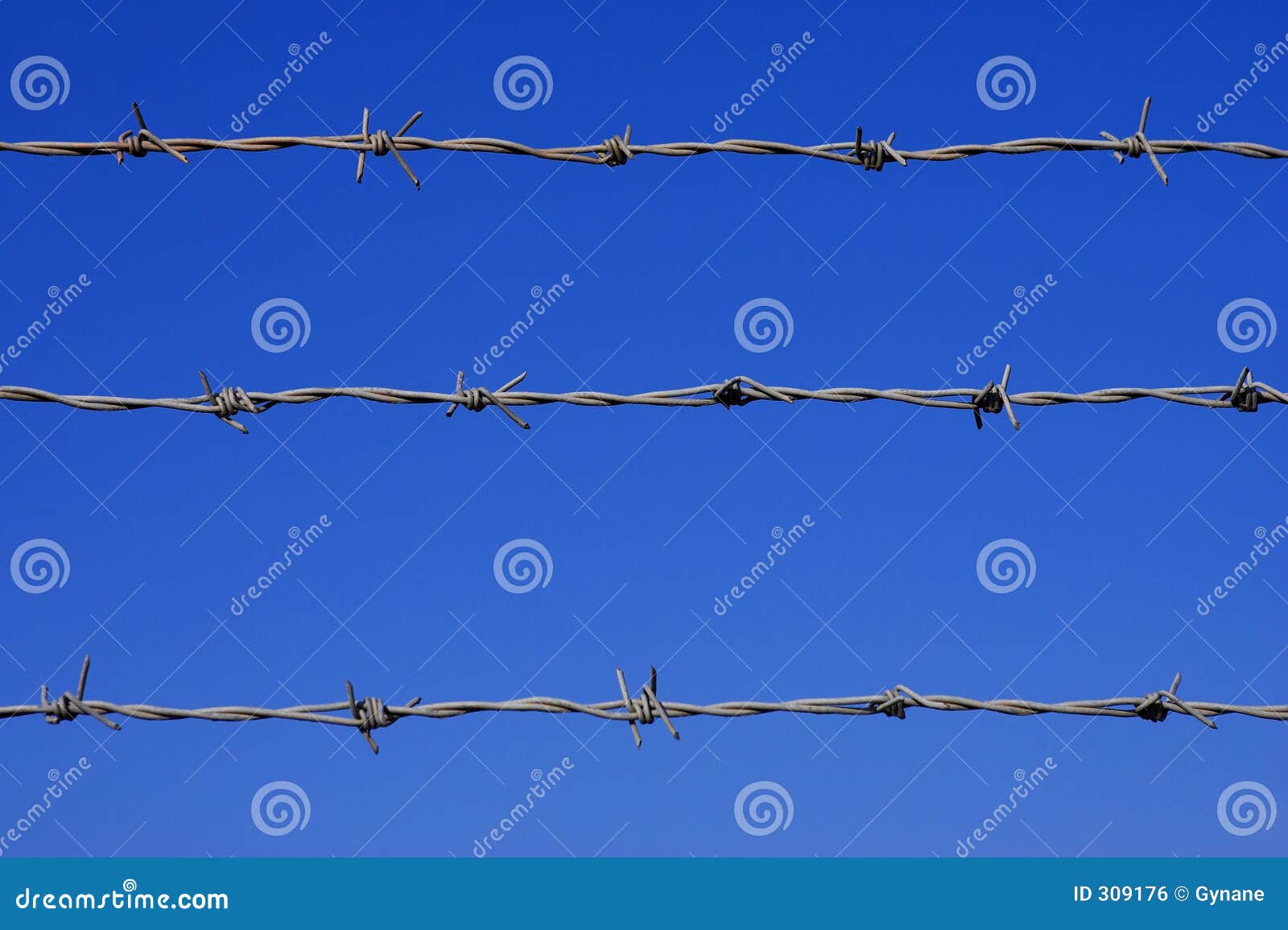 Barbed wire fence detail stock photo. Image of deterrent 309176
