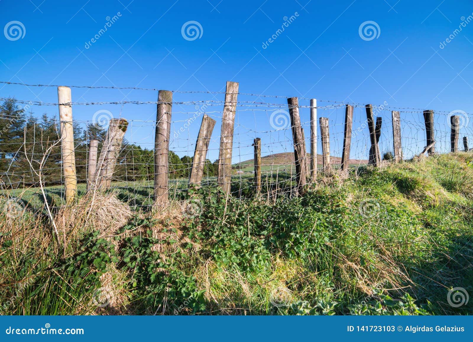 Barbed Wire Fence in Irish Fields Stock Image Image of nature