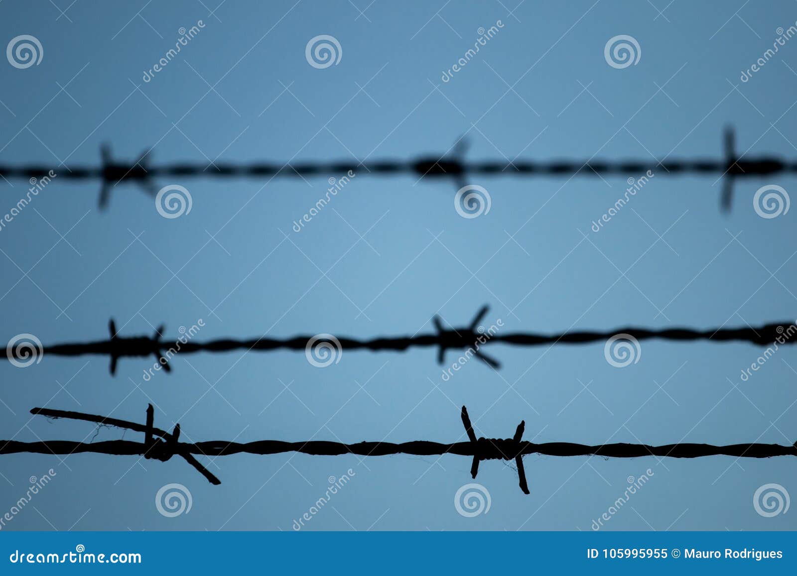 Забор из колючей проволоки гост