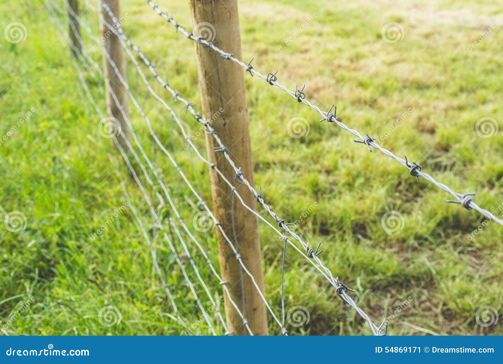 Barbed wire fencing stock image. Image of wire, barbed 54869171