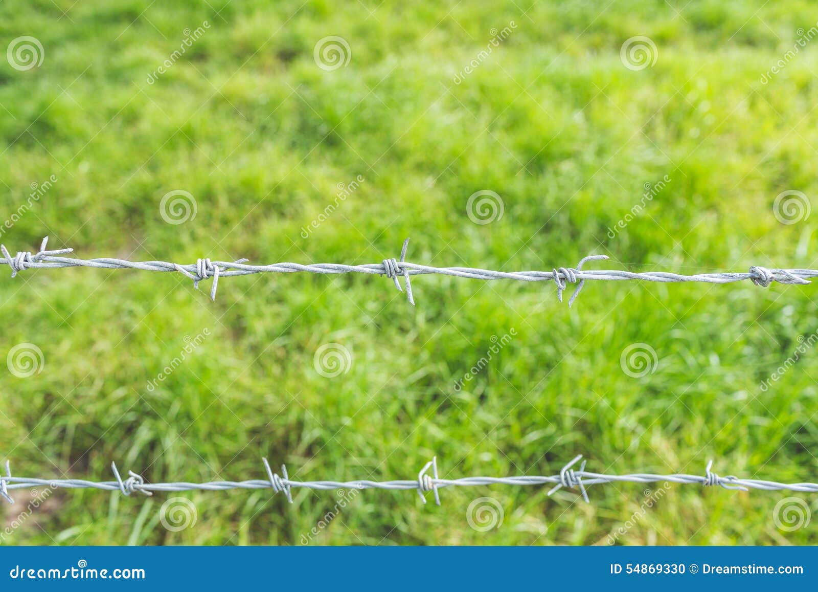 Barbed Wire with Grass in Background Stock Photo Image of metal