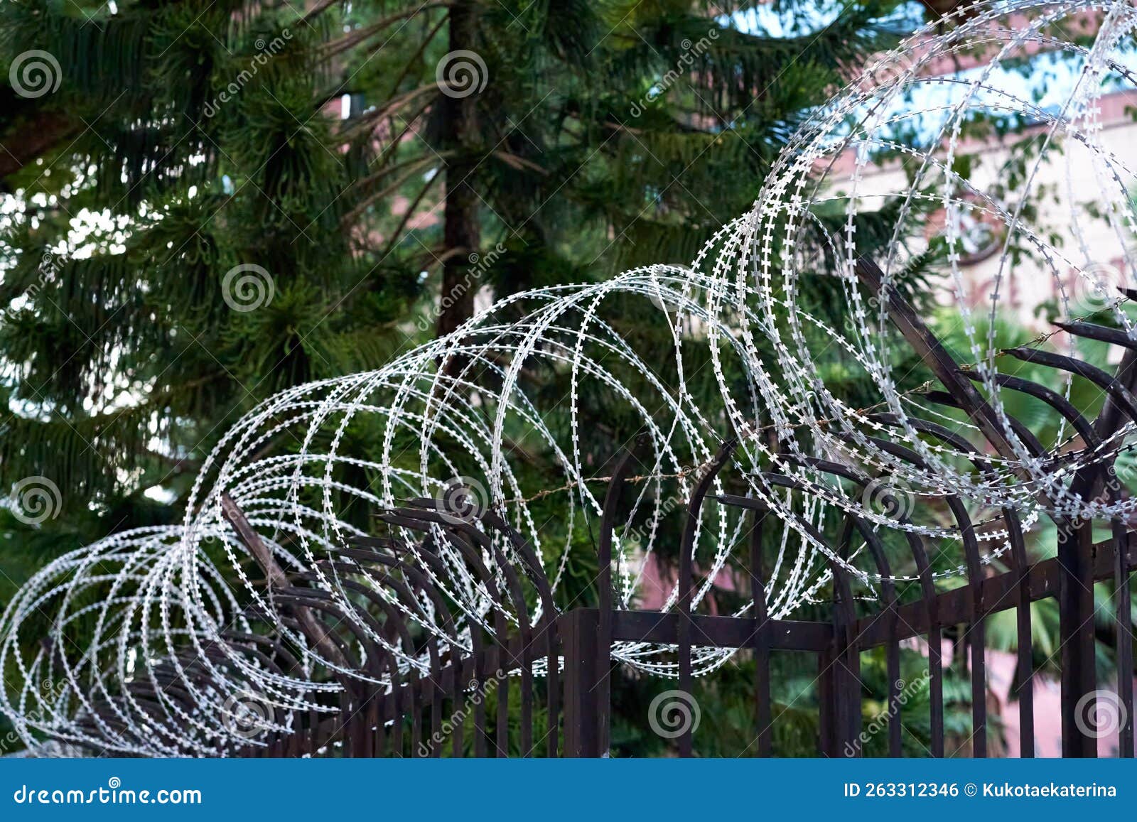 The Barbed Wire Over the Fence. Protection Against Illegal Entry Stock Photo Image of barb