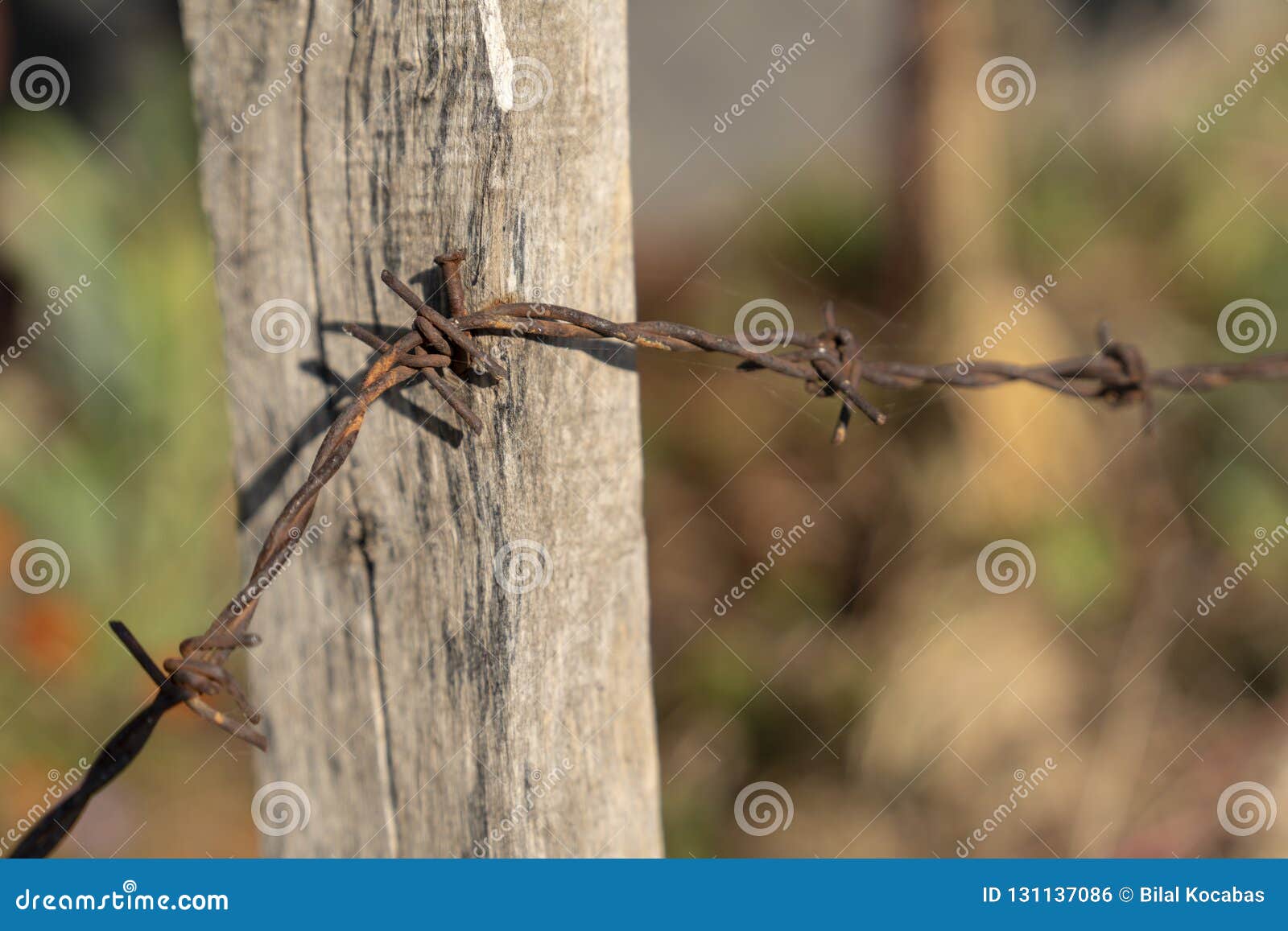 1-800-NailMe | Barbed wire tips for Lauren ⛓⛓⛓ . . . . . . . . .  #barbedwirenails #frenchtipnails #neutralnails #lanailartist #1800nailme |  Instagram