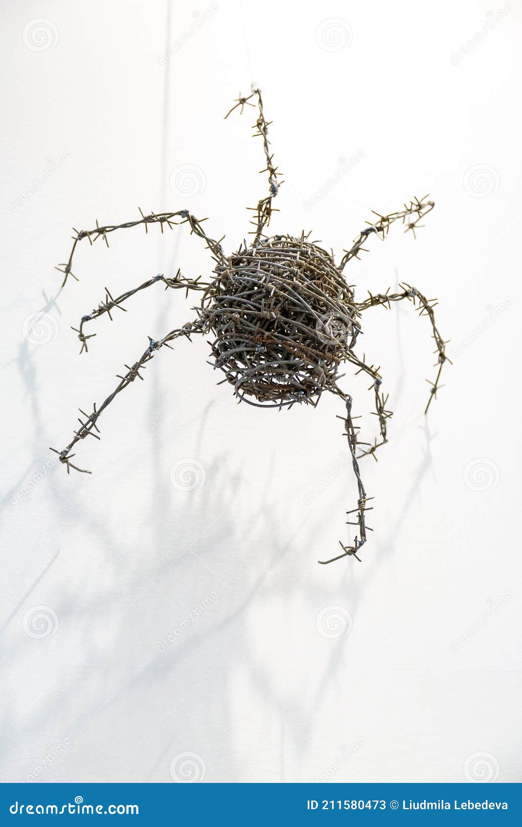 Barbed Wire Spider Sculpture Hanging on White Wall Editorial Stock