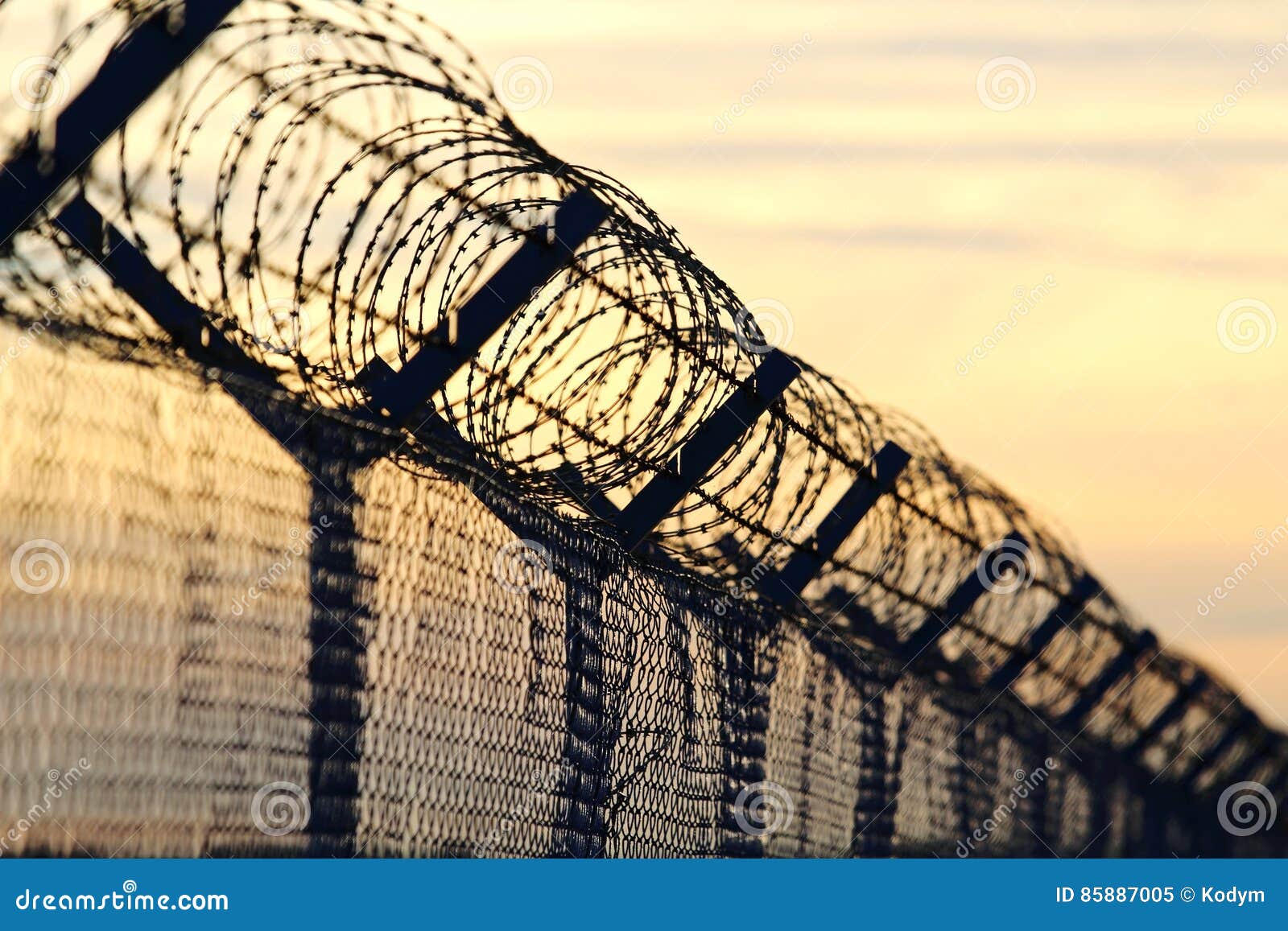 barbed wire steel wall against the immigrations in europe