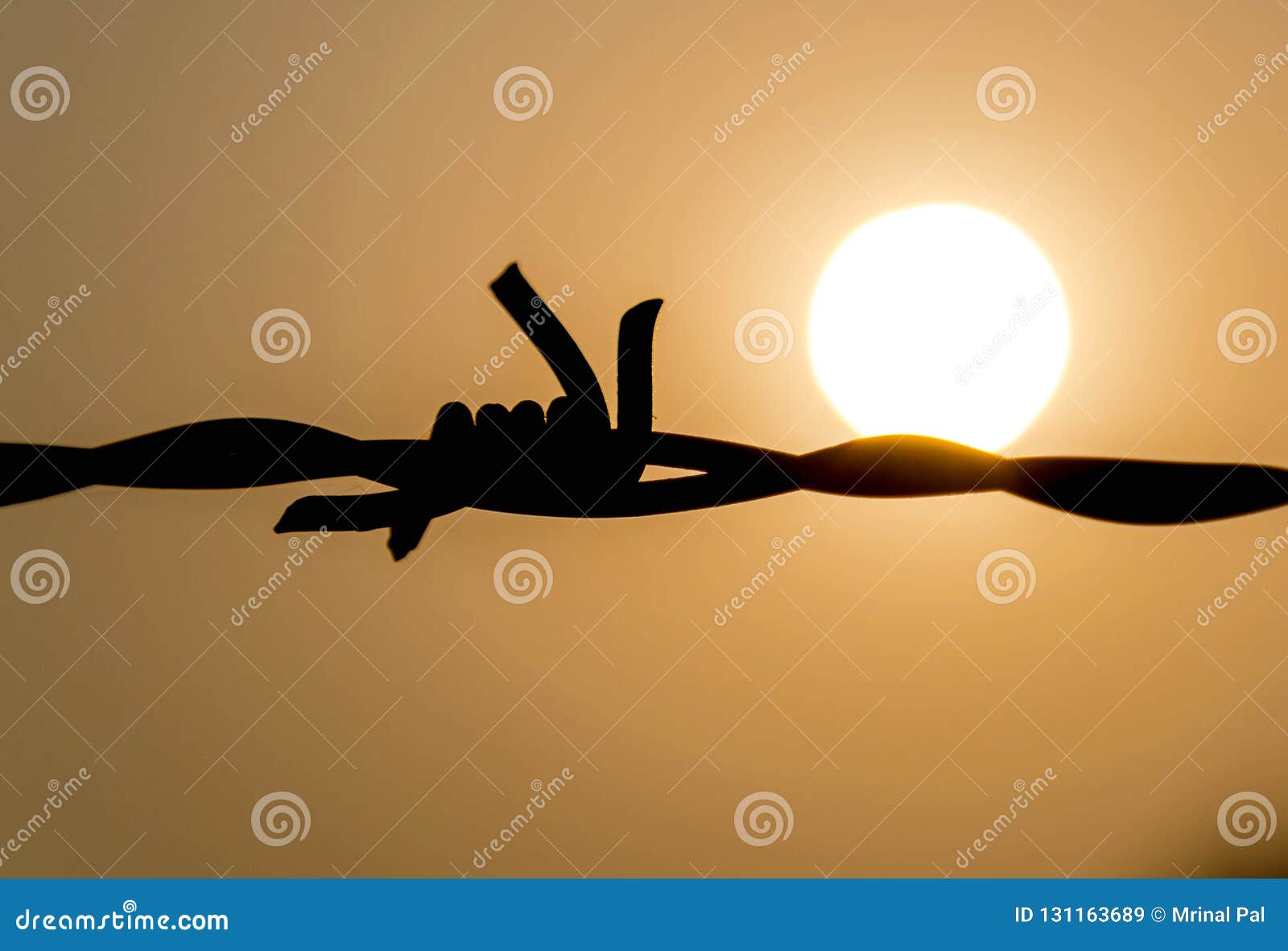 Barbed wire and sun stock image. Image of plane, wire - 131163689
