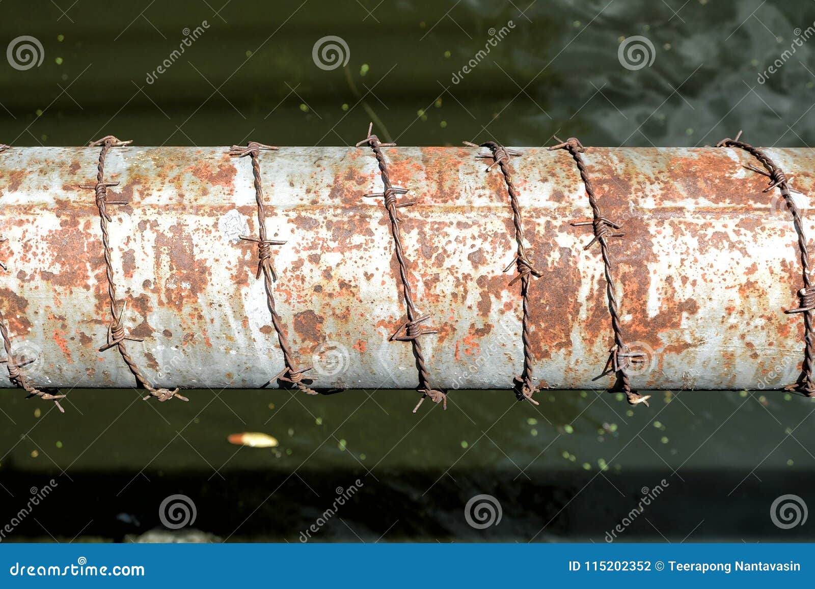 Barbed Wire on Water Pipe. stock photo. Image of plate 115202352