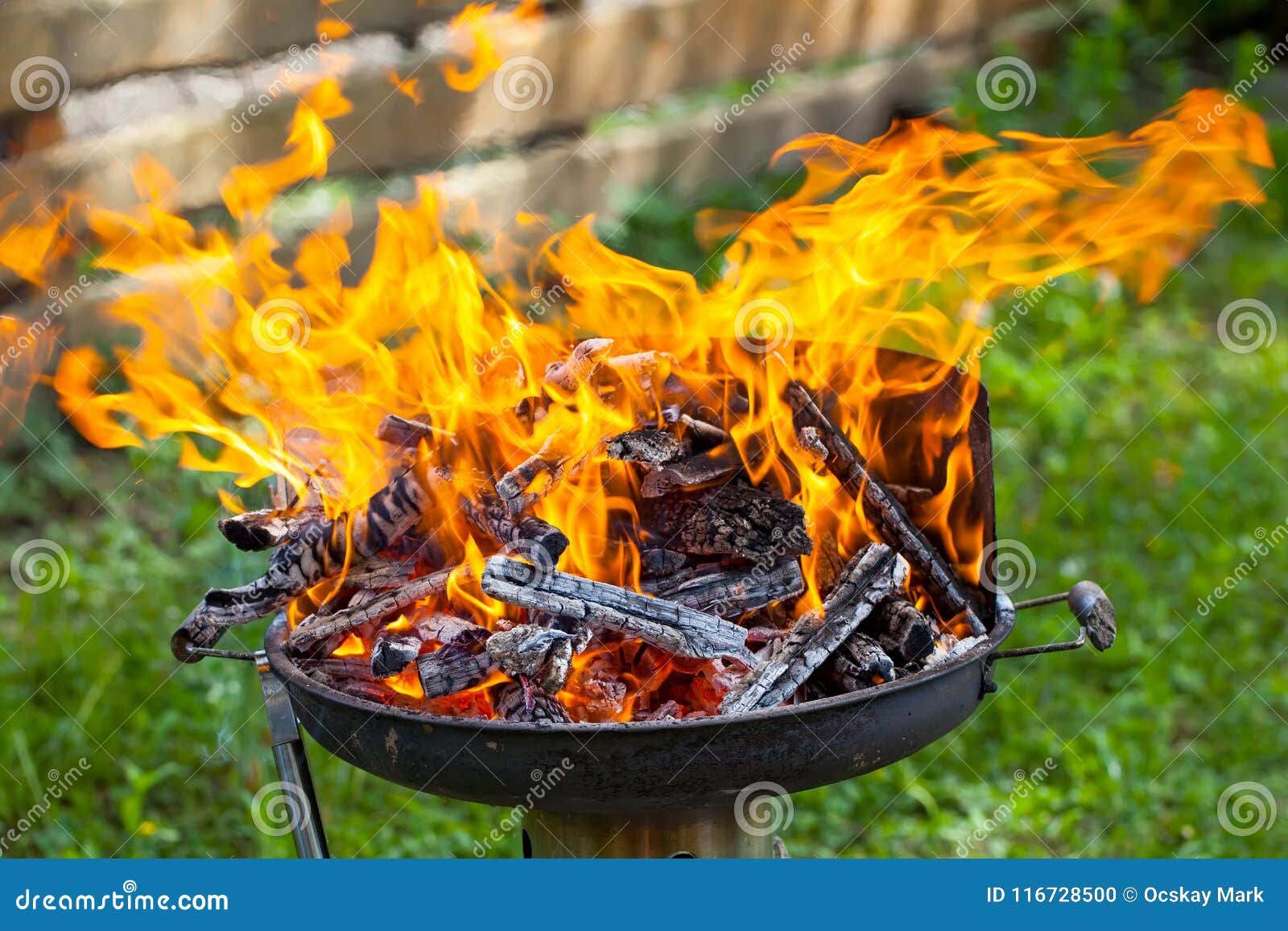 Barbeque fire stock photo. Image of burning, firewood - 116728500