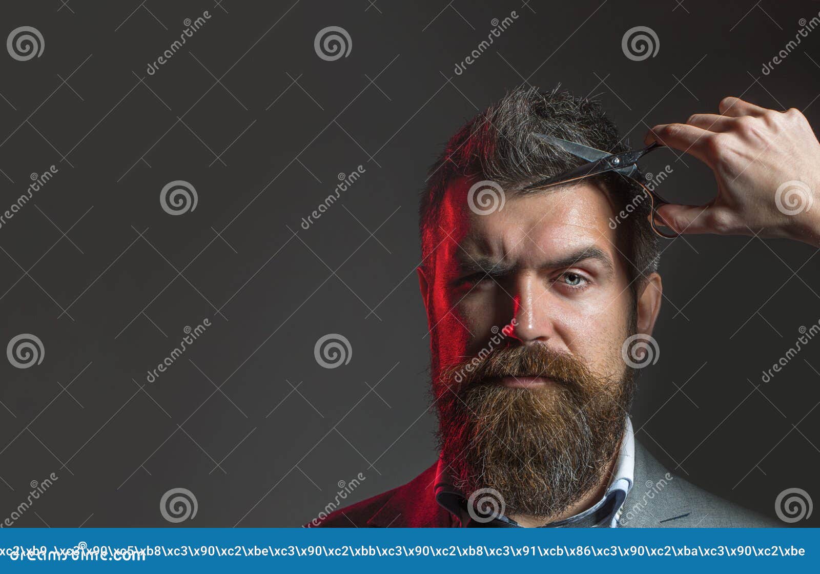 Barber Scissors Bearded Man Lush Beard Handsome Hipster In
