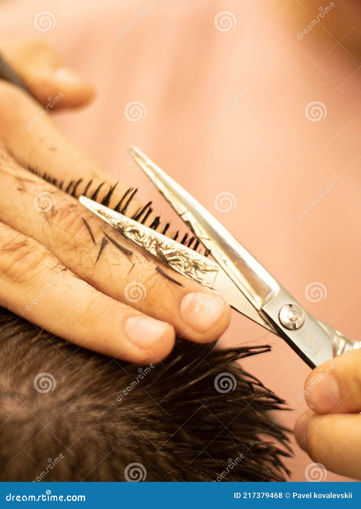 The Barber at Work. the Master Cuts His Hair with Scissors Stock Photo Image of alopecia