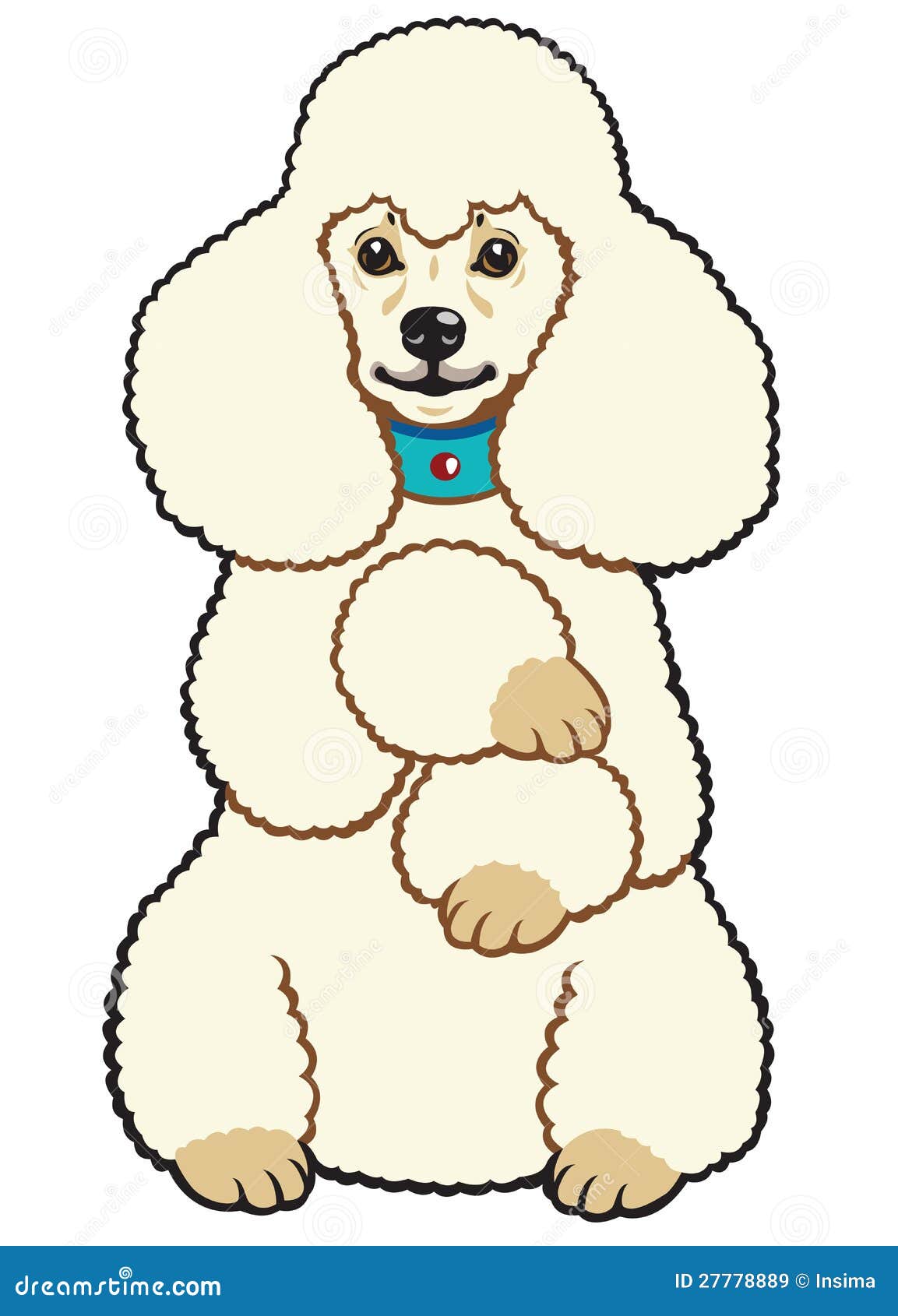 Barboncino bianco Libera da Diritti