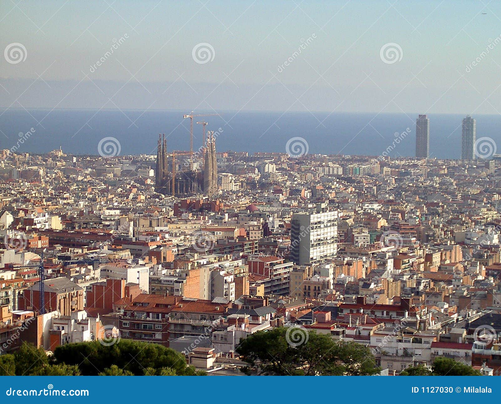 sagrada familia cathedral in barcelona, spain