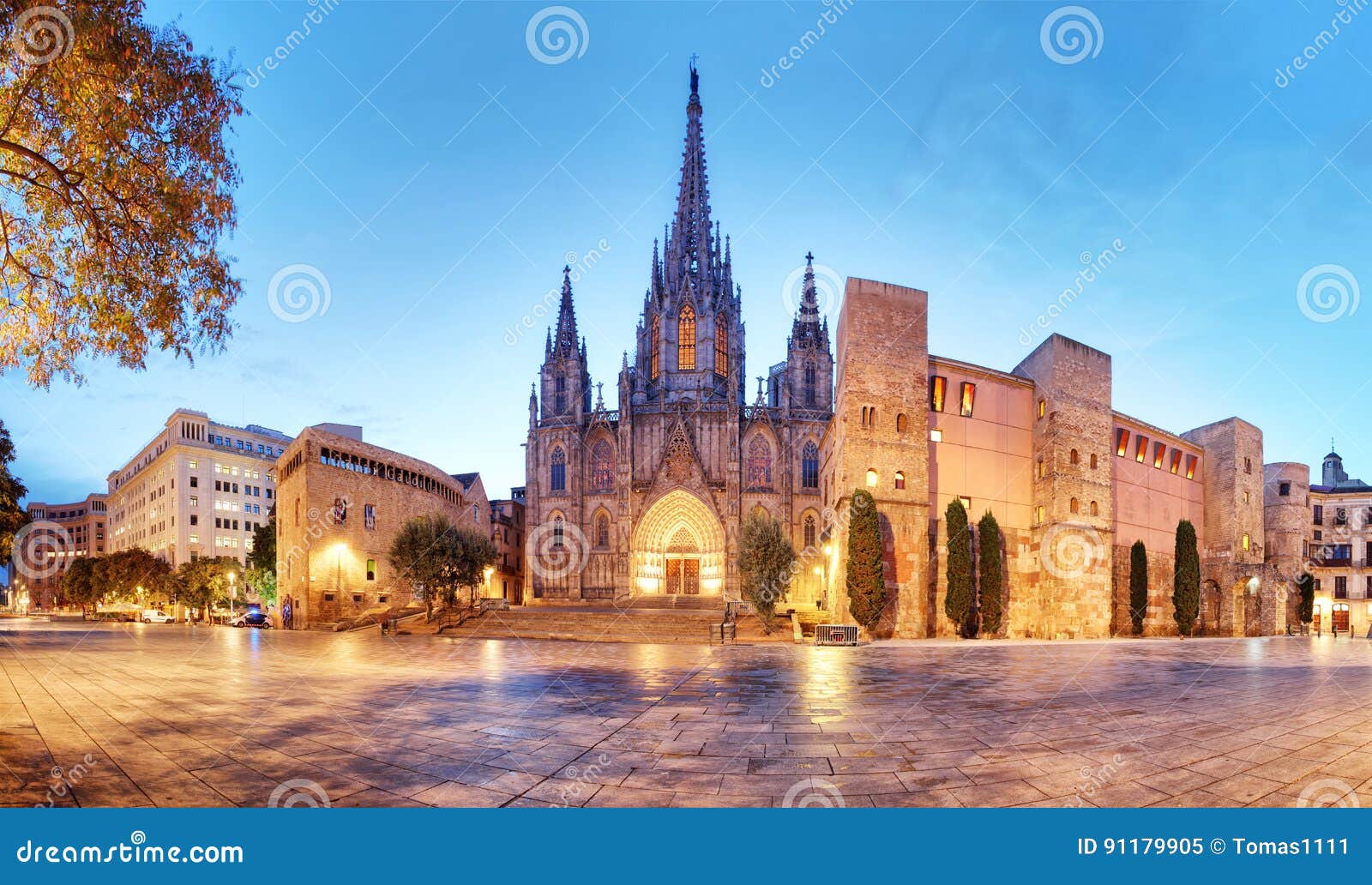 barcelona, panorama of cathedral, barri gothic quarter