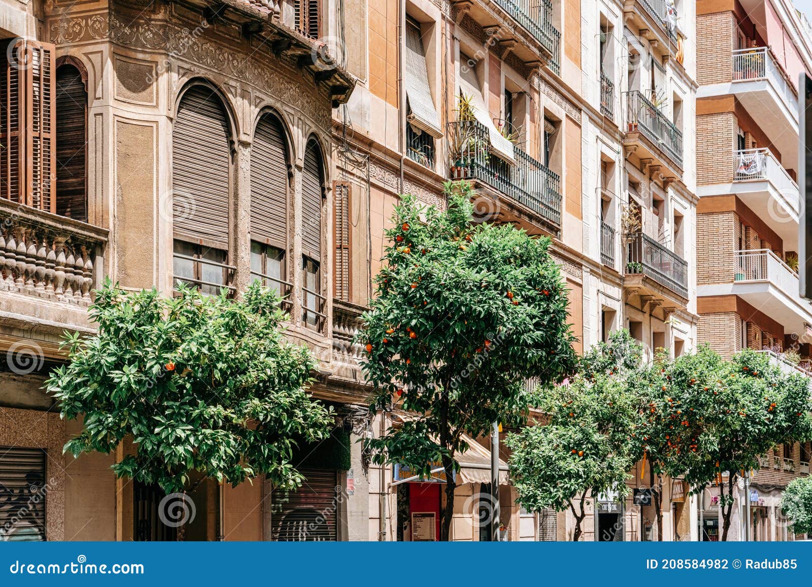 Orange Trees in Barcelona City Editorial Photography - Image of outdoor ...