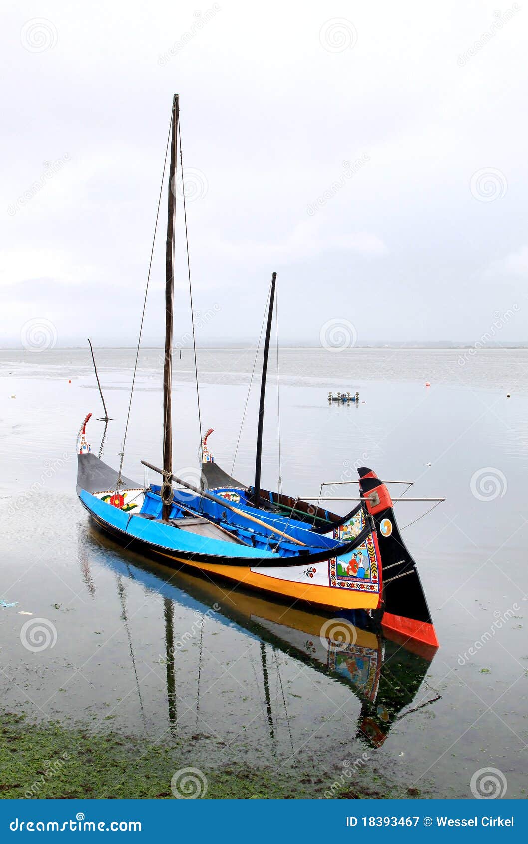 barcos moliceiros, traditional boats of portugal