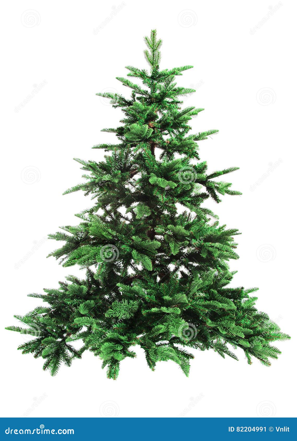 bare christmas tree