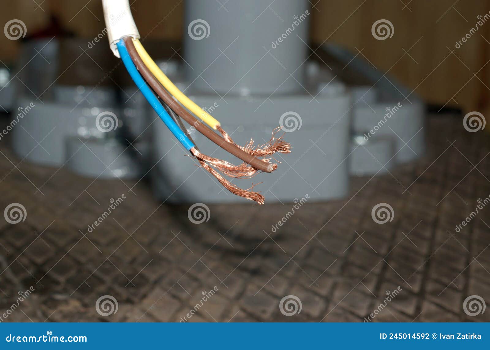 Bare Copper Wires In A Junction Box Stock Image