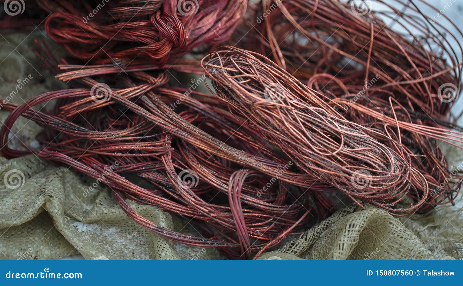 Bare Copper Wires In A Junction Box Stock Image