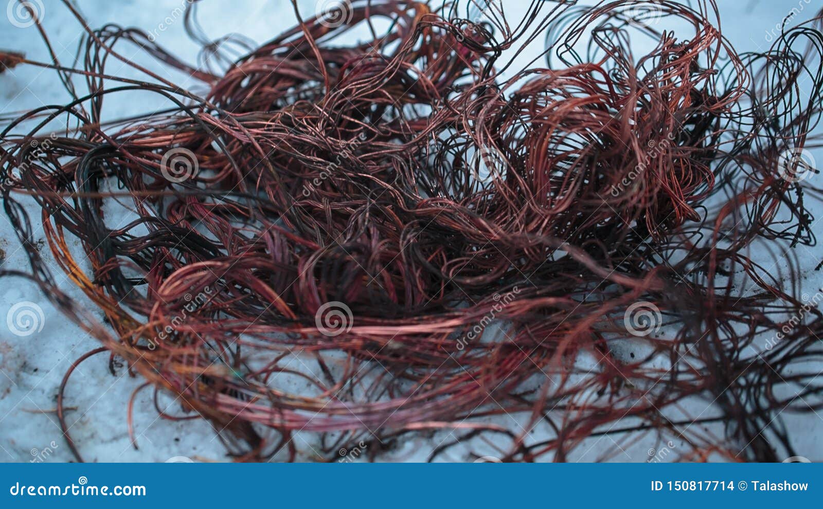 Bare Copper Wires In A Junction Box Stock Image