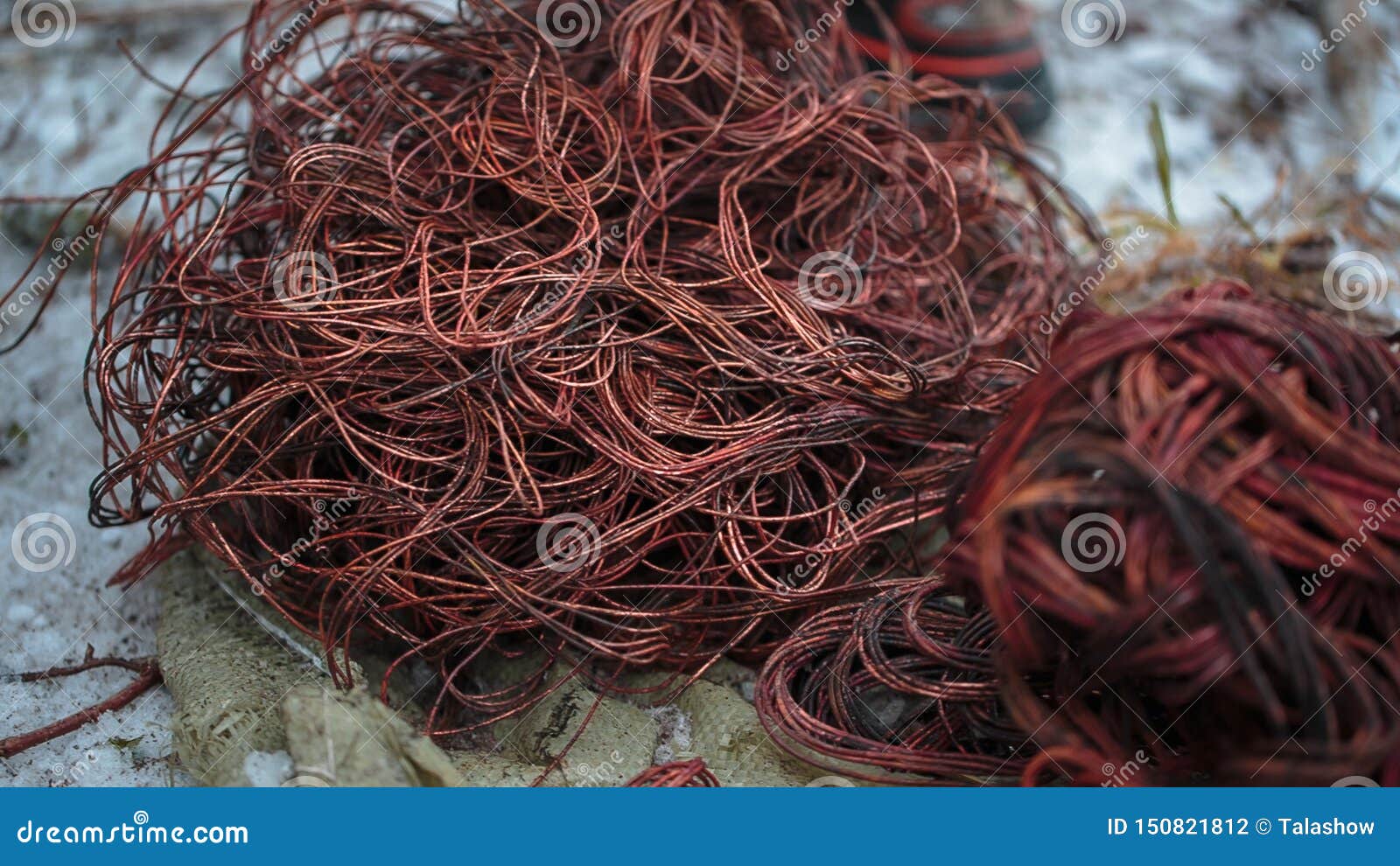 Bare Copper Wires In A Junction Box Stock Image